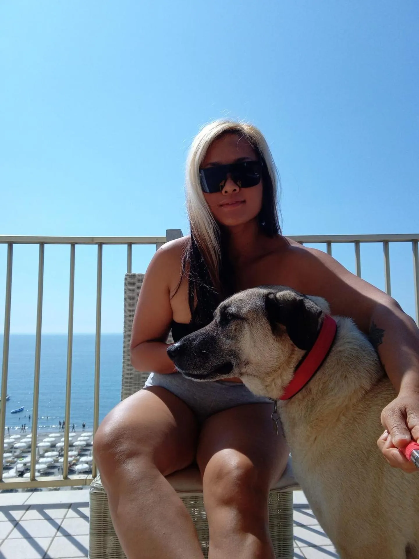 Pets in Hotel Negresco