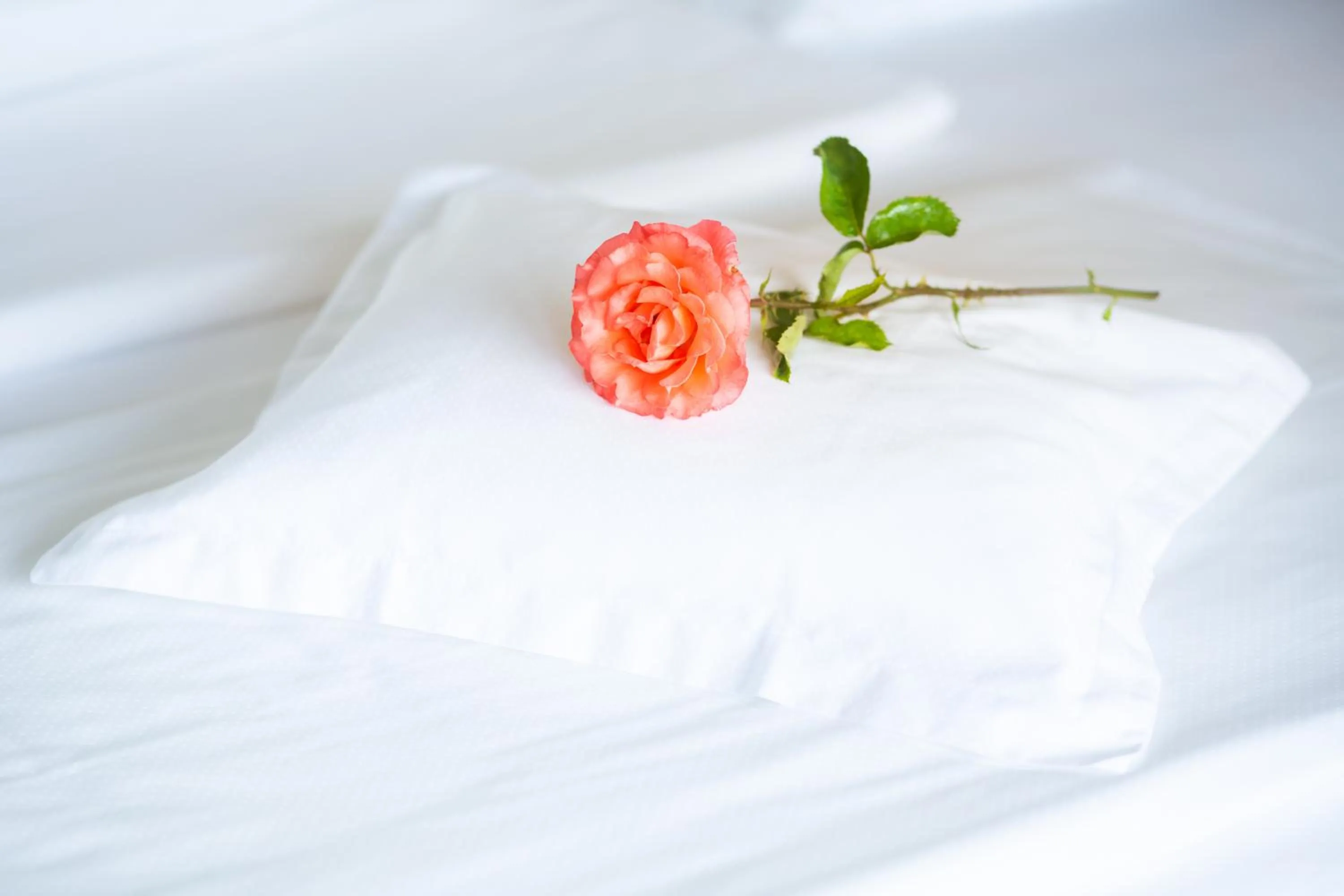 Bed in Hotel Richard Löwenherz