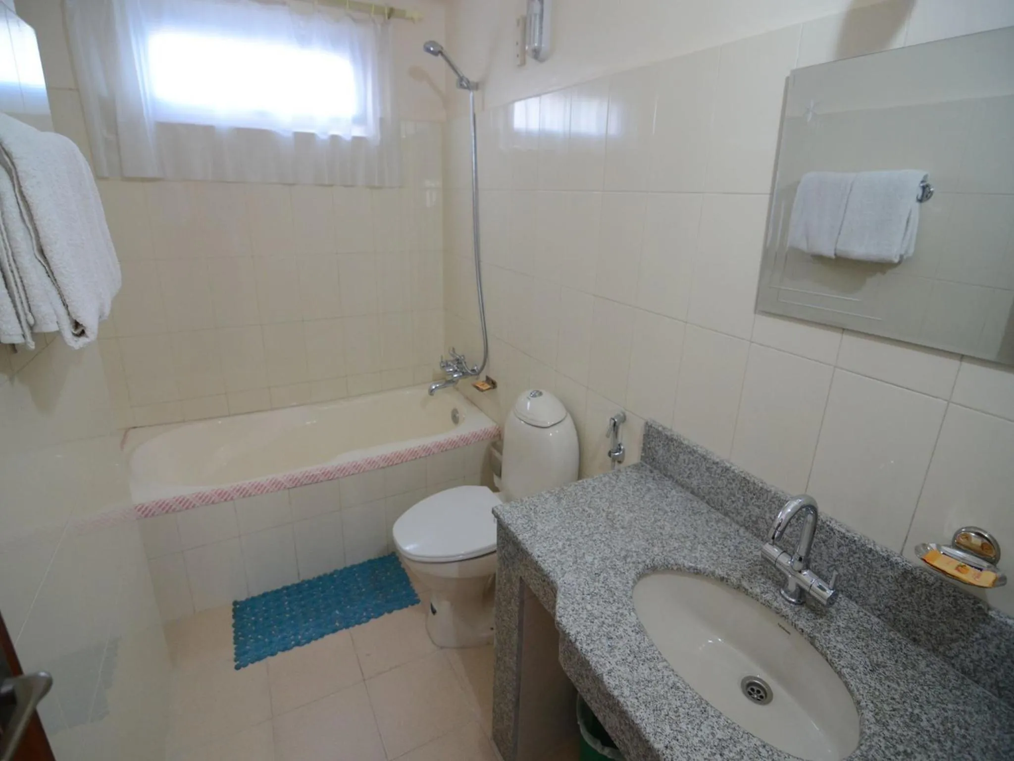 Bathroom in Hotel Asia