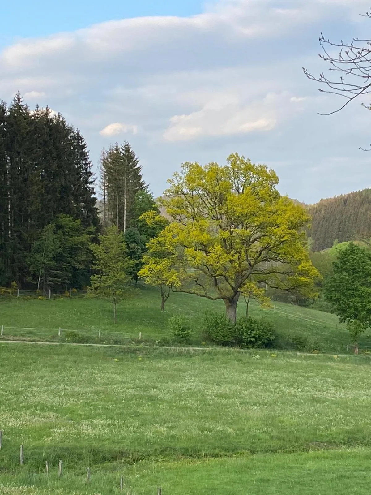 Landgasthof Restaurant Laibach