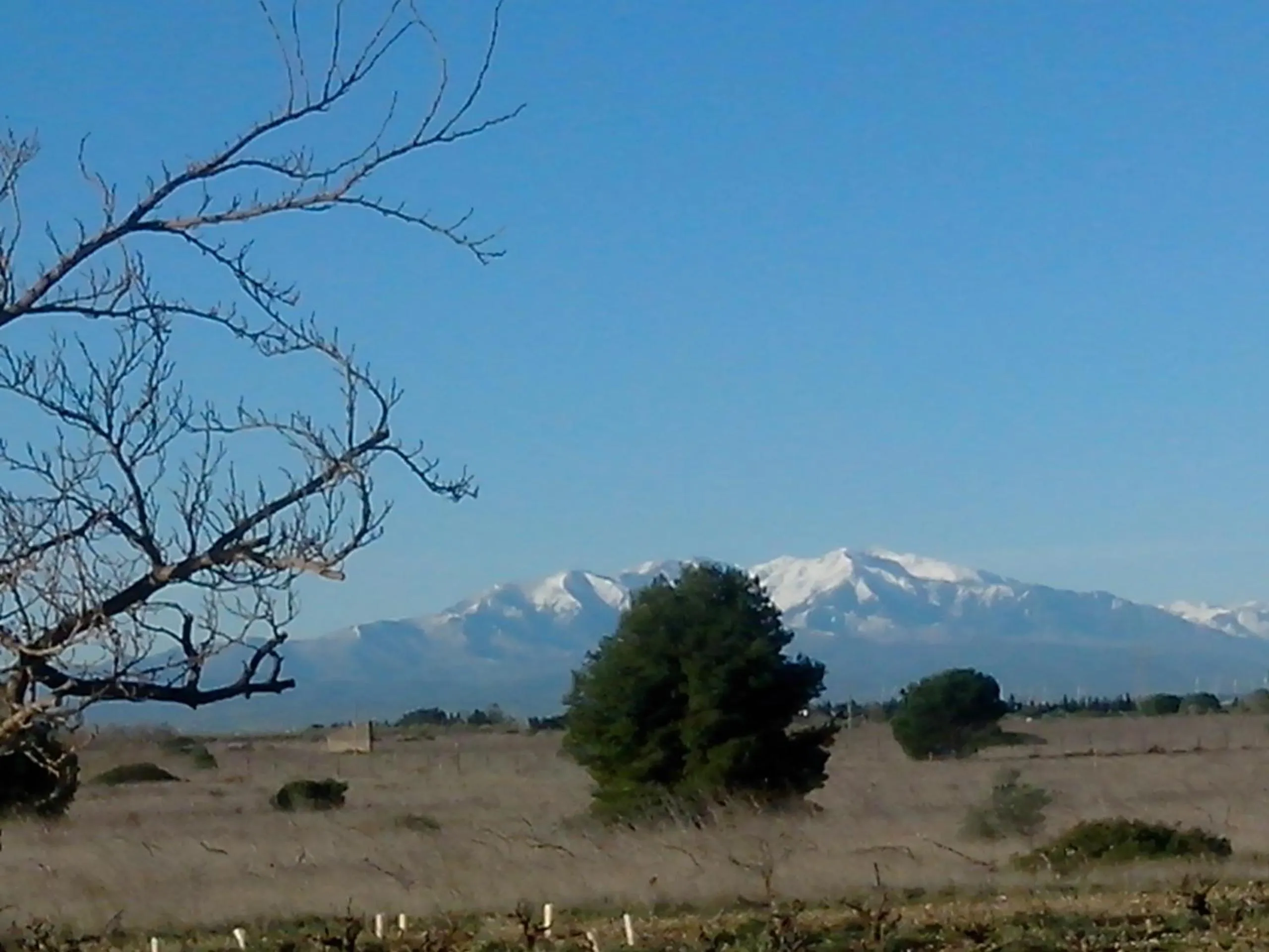 Mountain view in MAS SOLEIL ET VIGNES