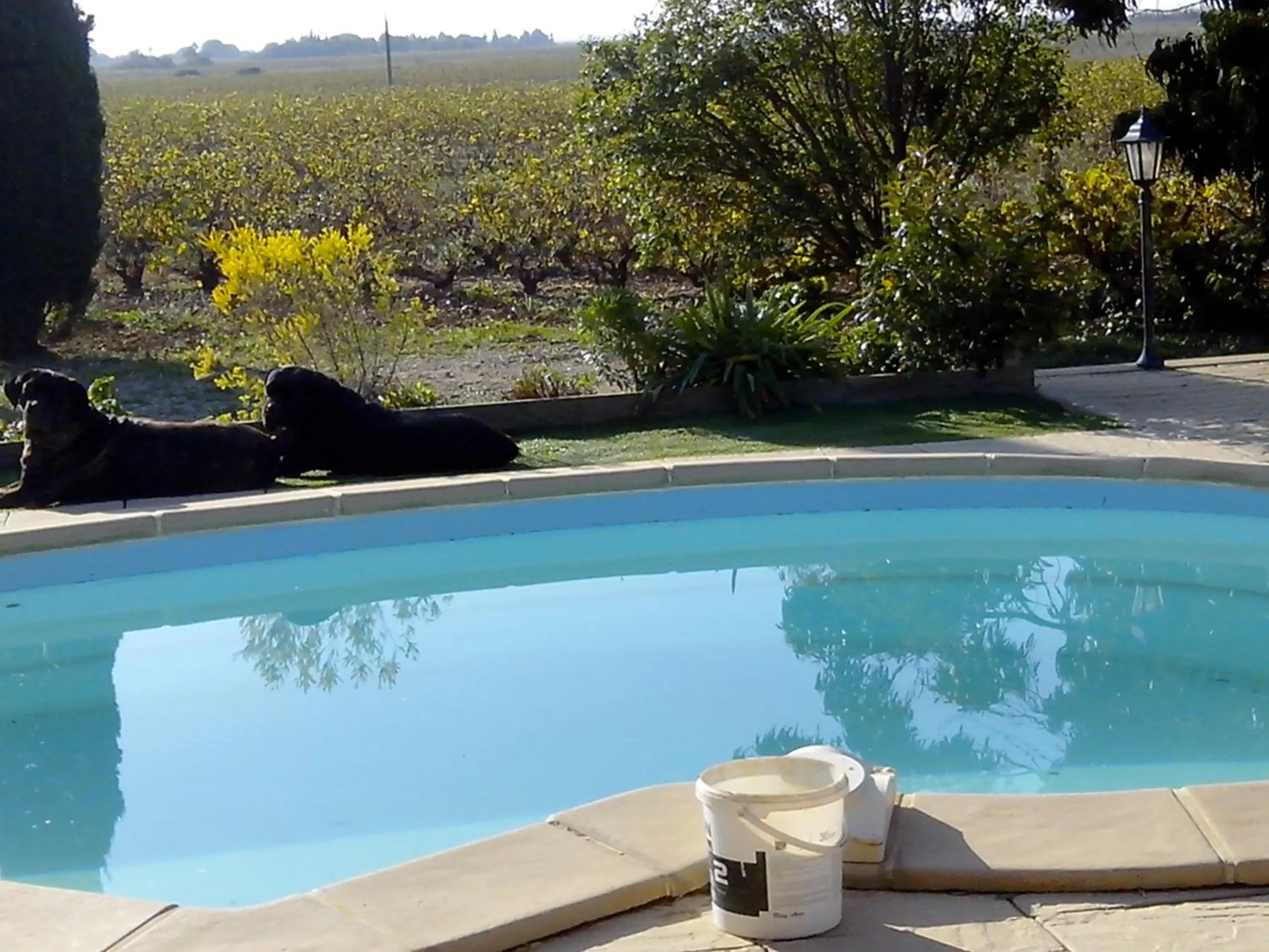 Animals in MAS SOLEIL ET VIGNES