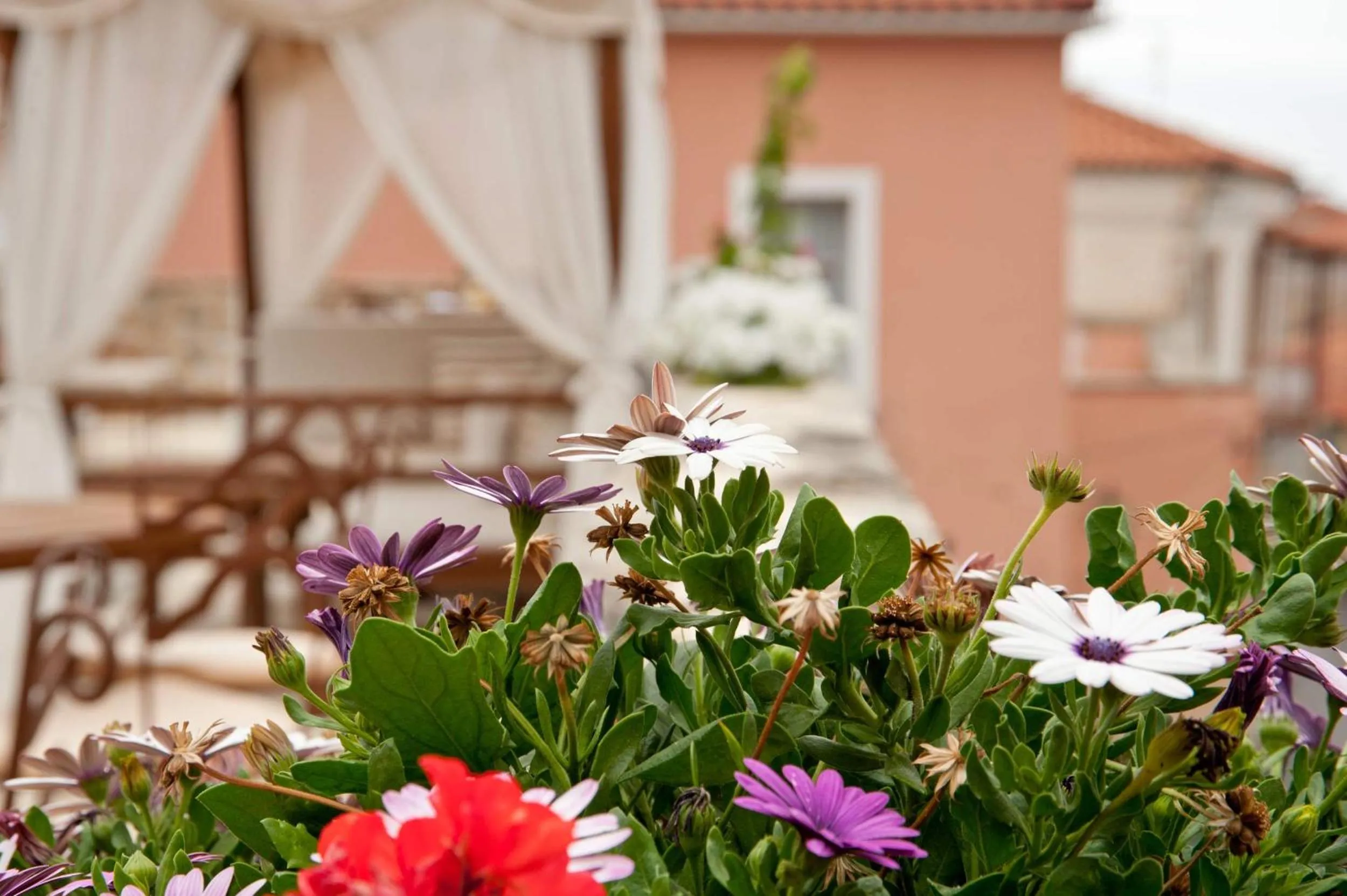 Spring in Archontiko Hatzipanayioti