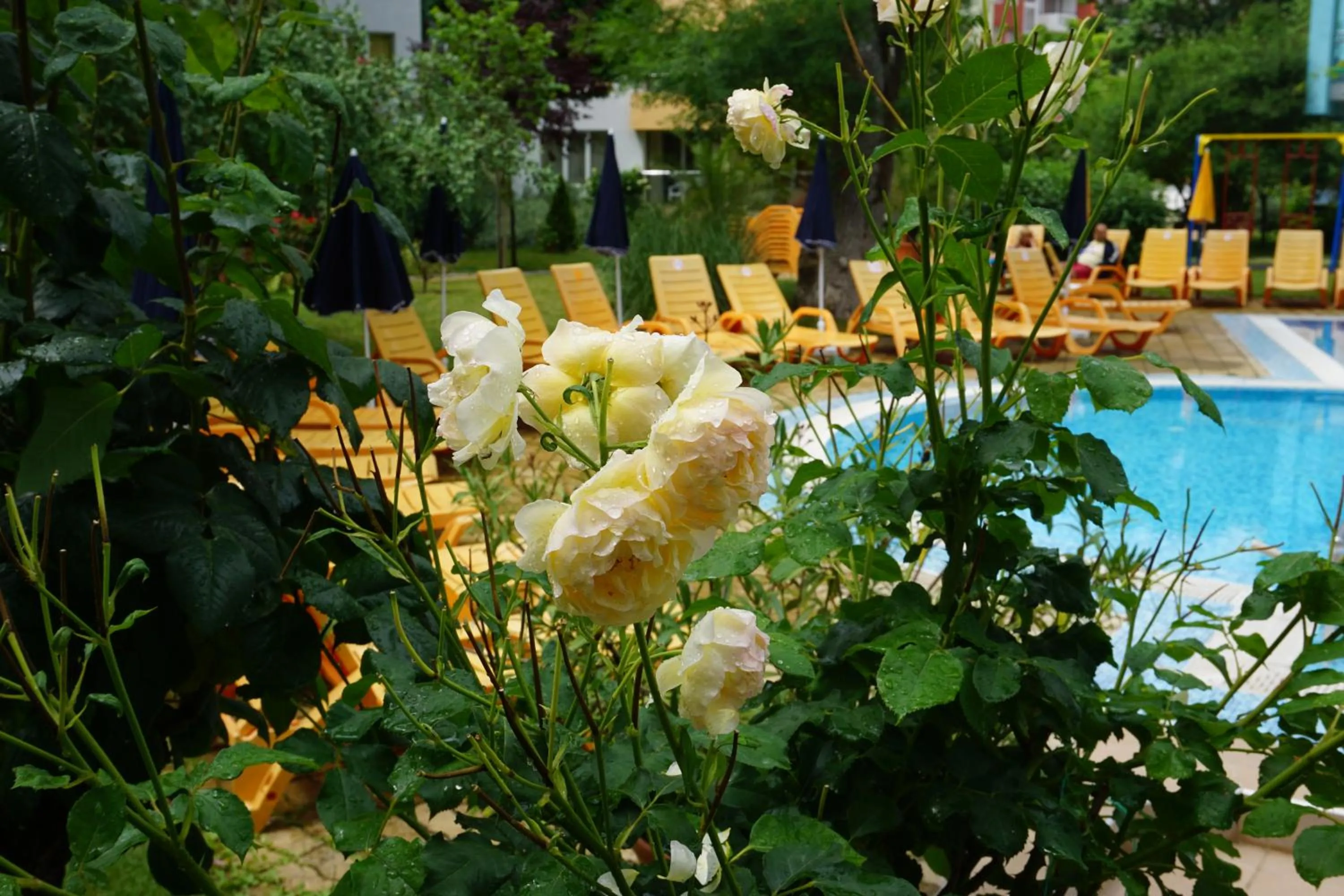 MNG Holiday Yassen Apartments