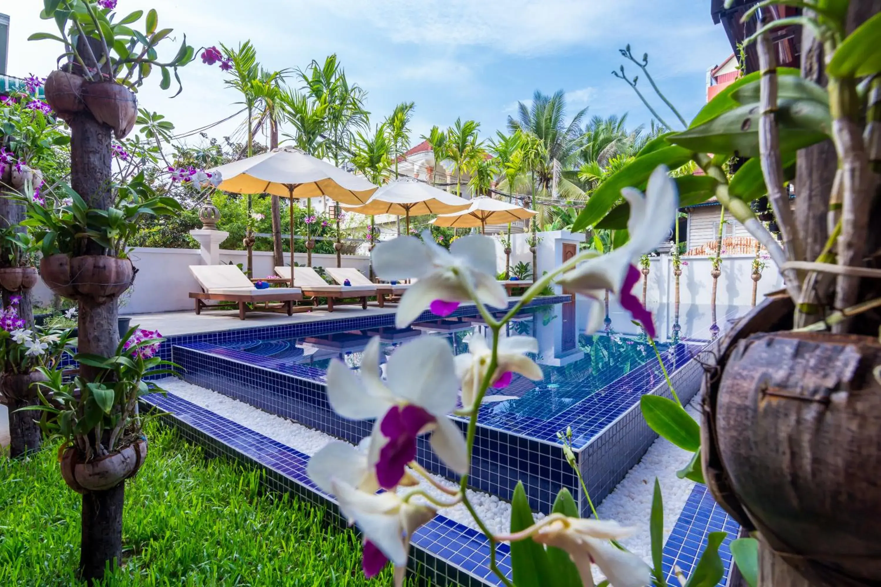 Swimming pool in The Unique Angkor Villa Swimming pool in The Unique Angkor Villa