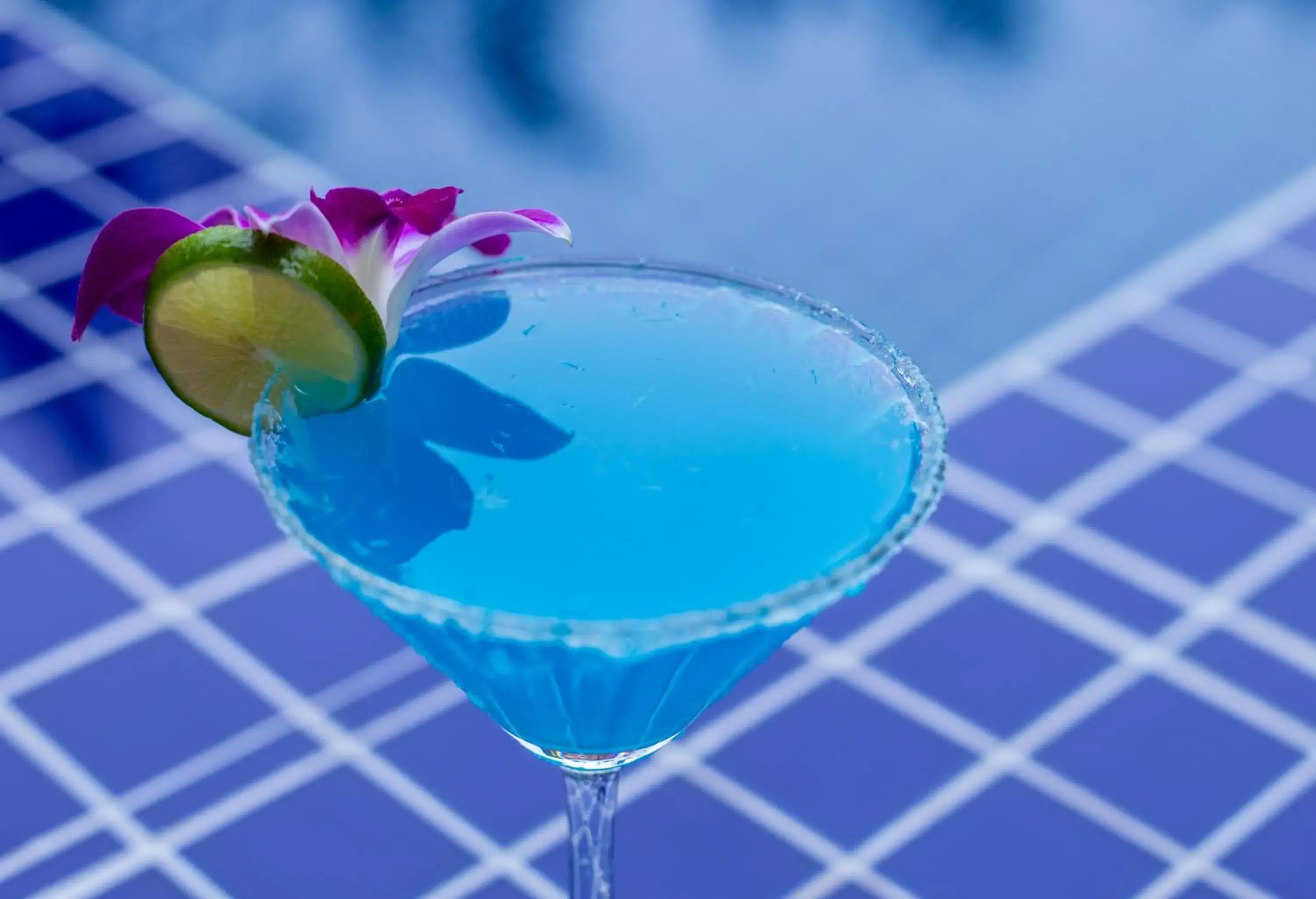 Lounge or bar in The Unique Angkor Villa Lounge or bar in The Unique Angkor Villa