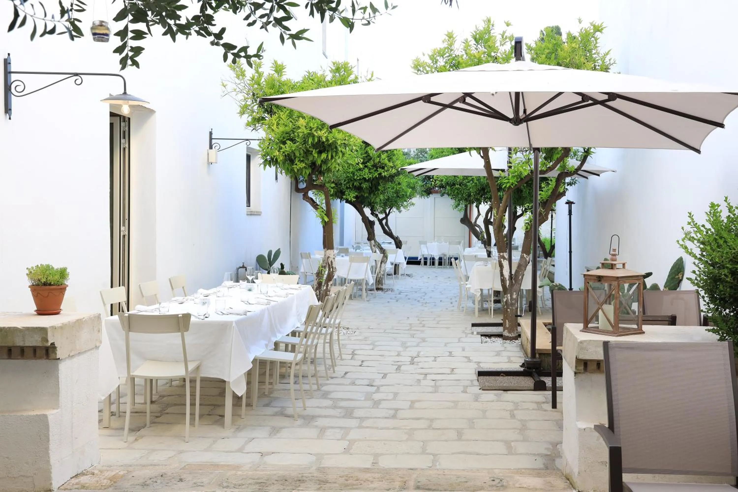 Restaurant/places to eat in Palazzo Circolone