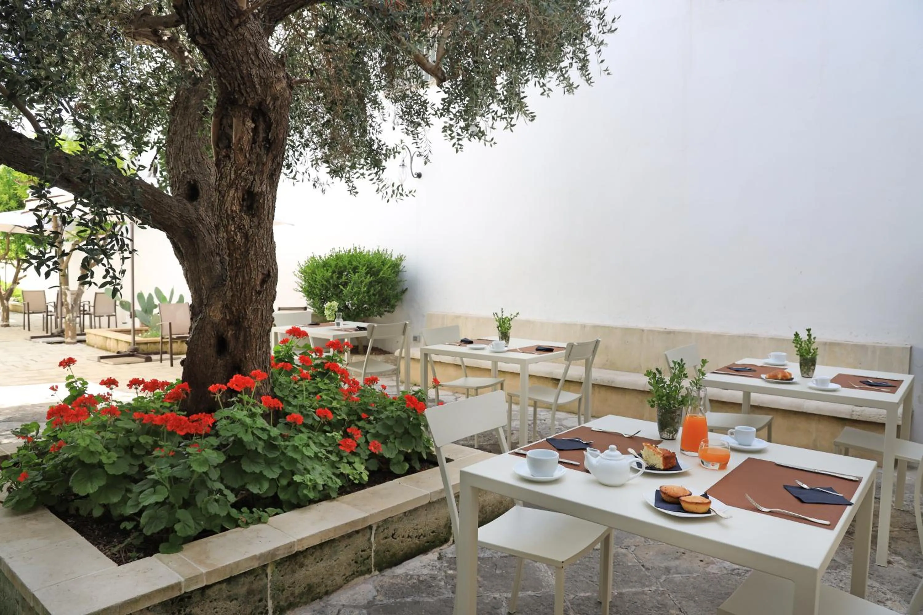 Garden in Palazzo Circolone