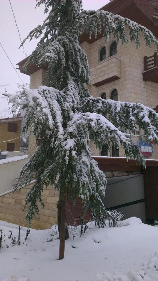 Merab Hotel