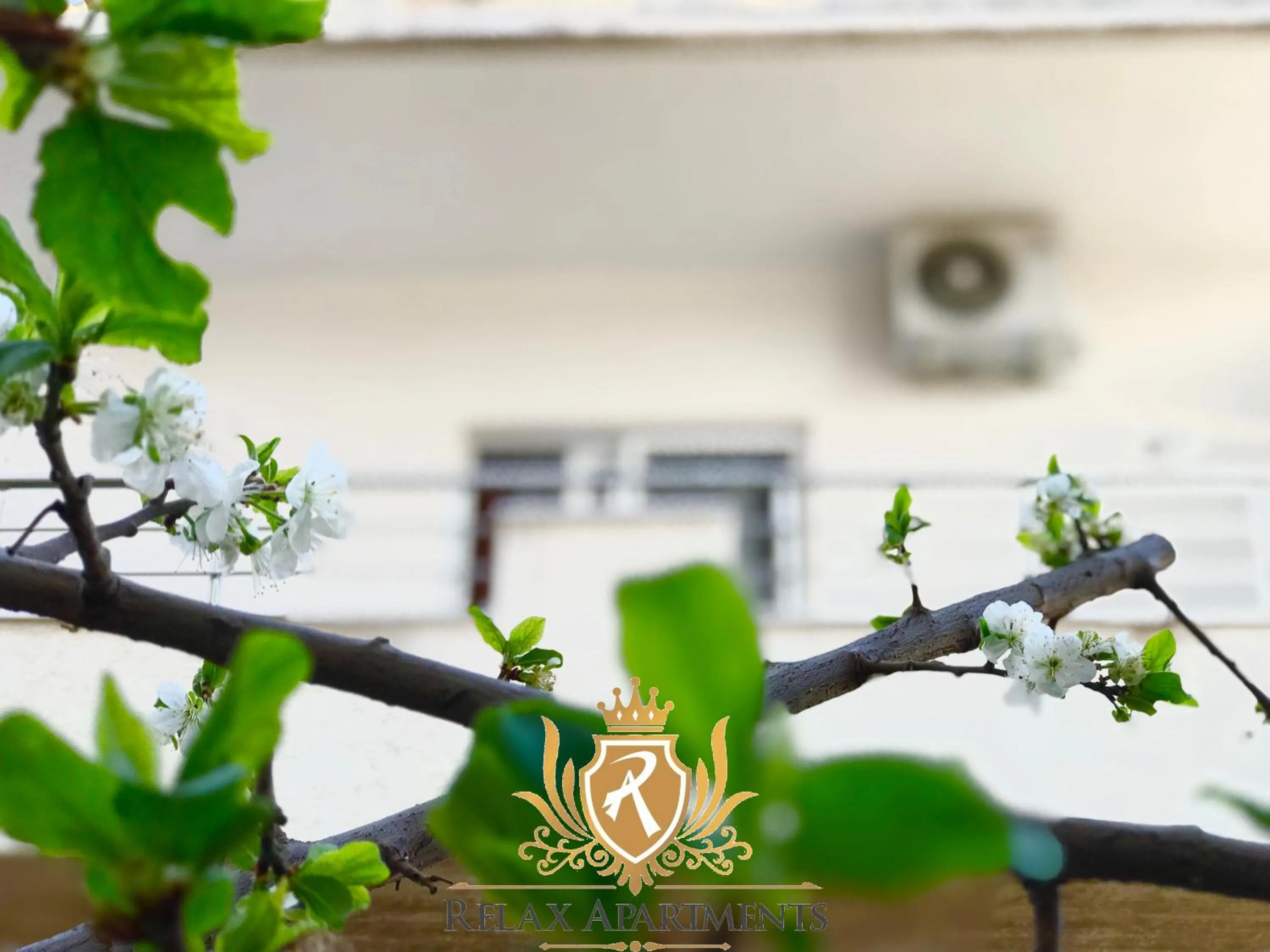 Durmishi Rooms & Apartments & Beach