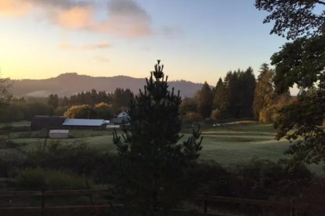 Vancouver WA Beautiful Apartment