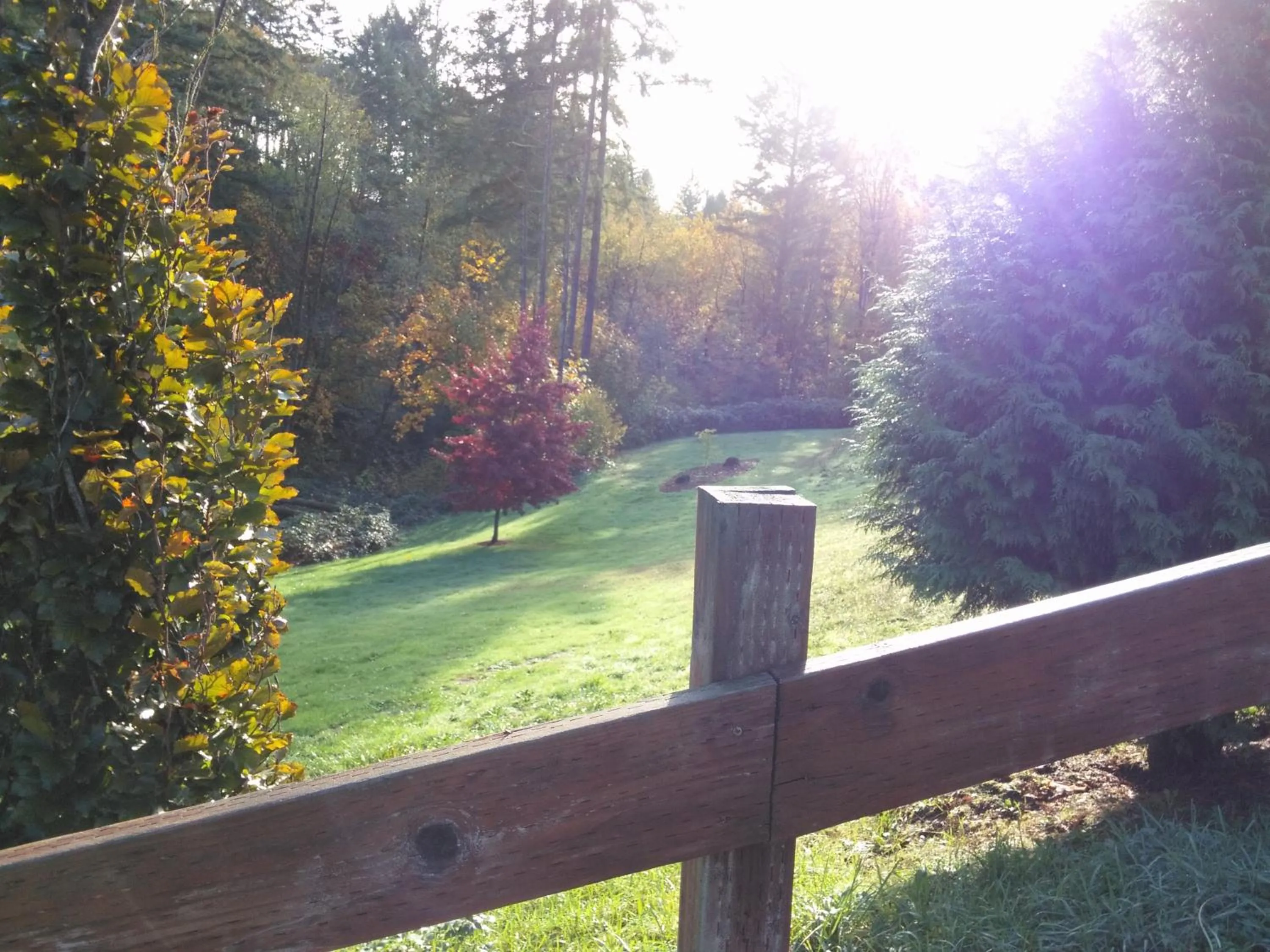 Vancouver WA Beautiful Apartment