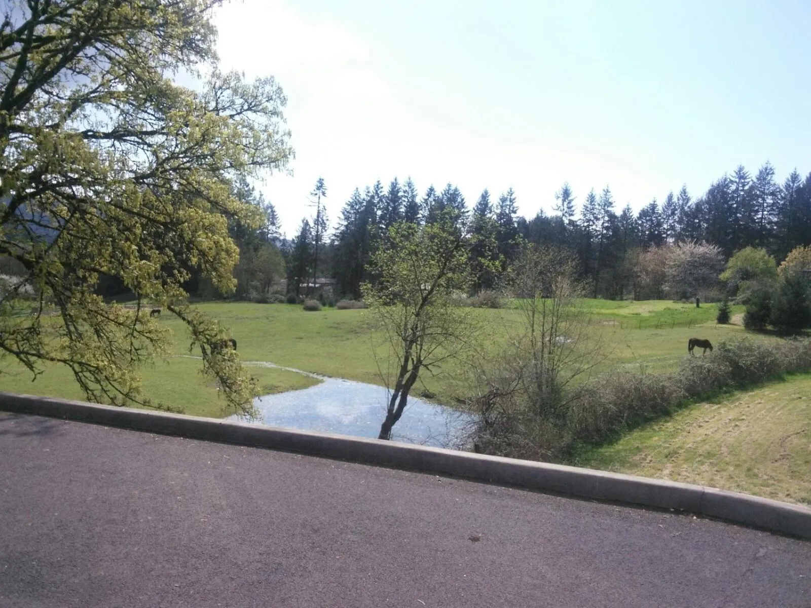 Vancouver WA Beautiful Apartment