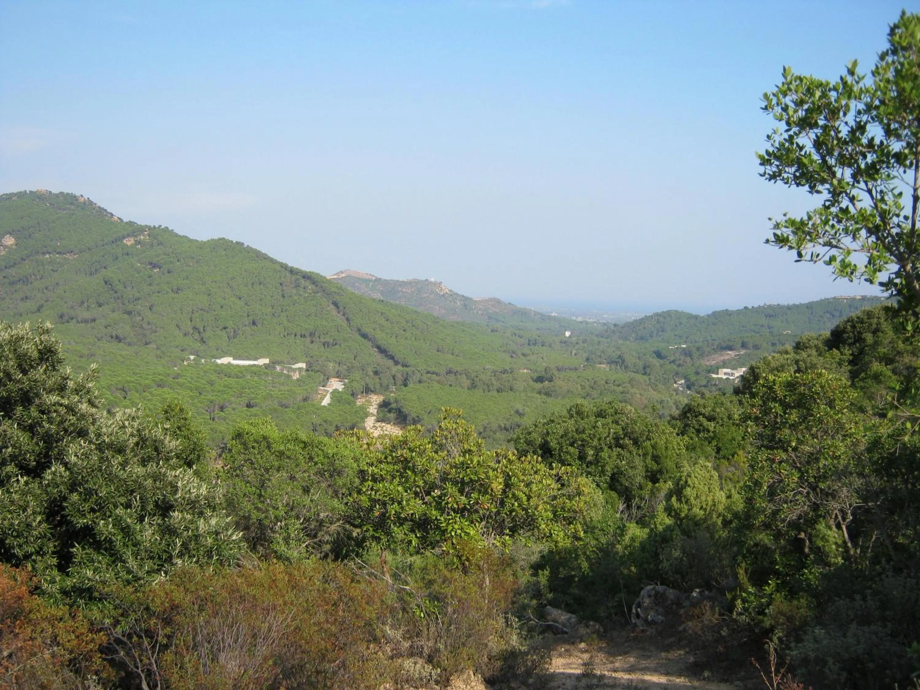 Natural landscape in B&B Il melograno