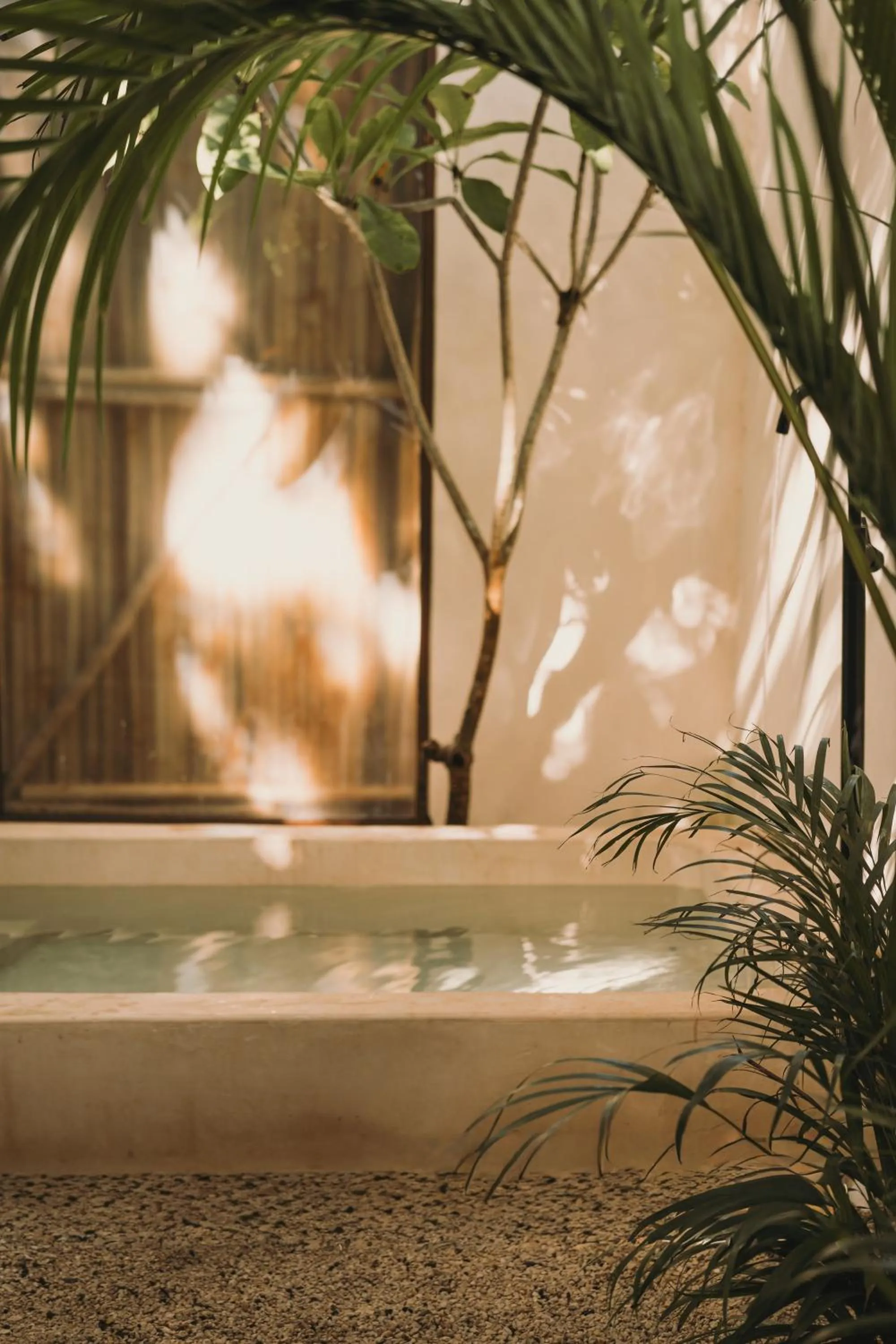 Swimming pool in Zelune Luxury Lagoon Resort Bacalar - Adults Only