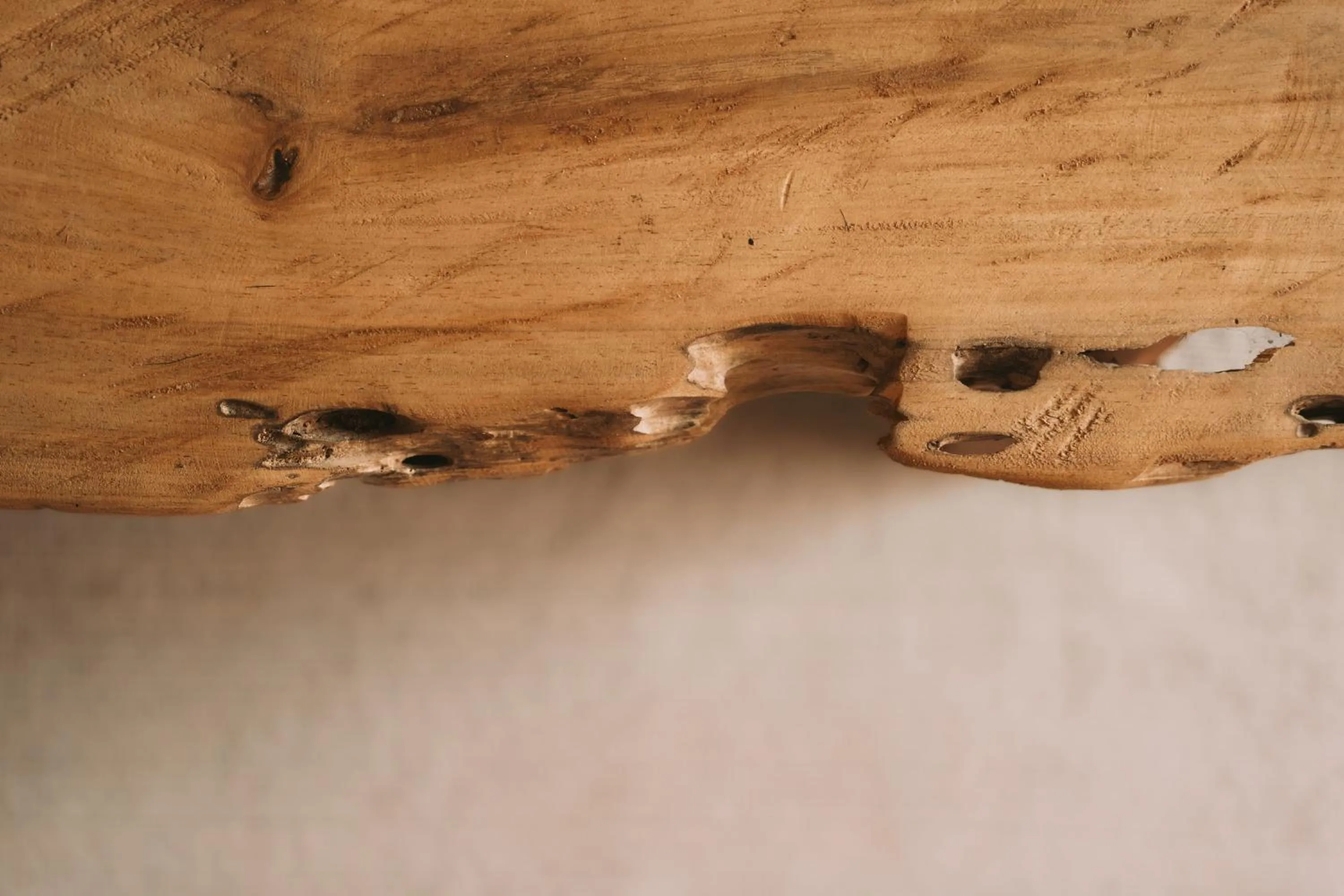 Decorative detail in Zelune Luxury Lagoon Resort Bacalar - Adults Only