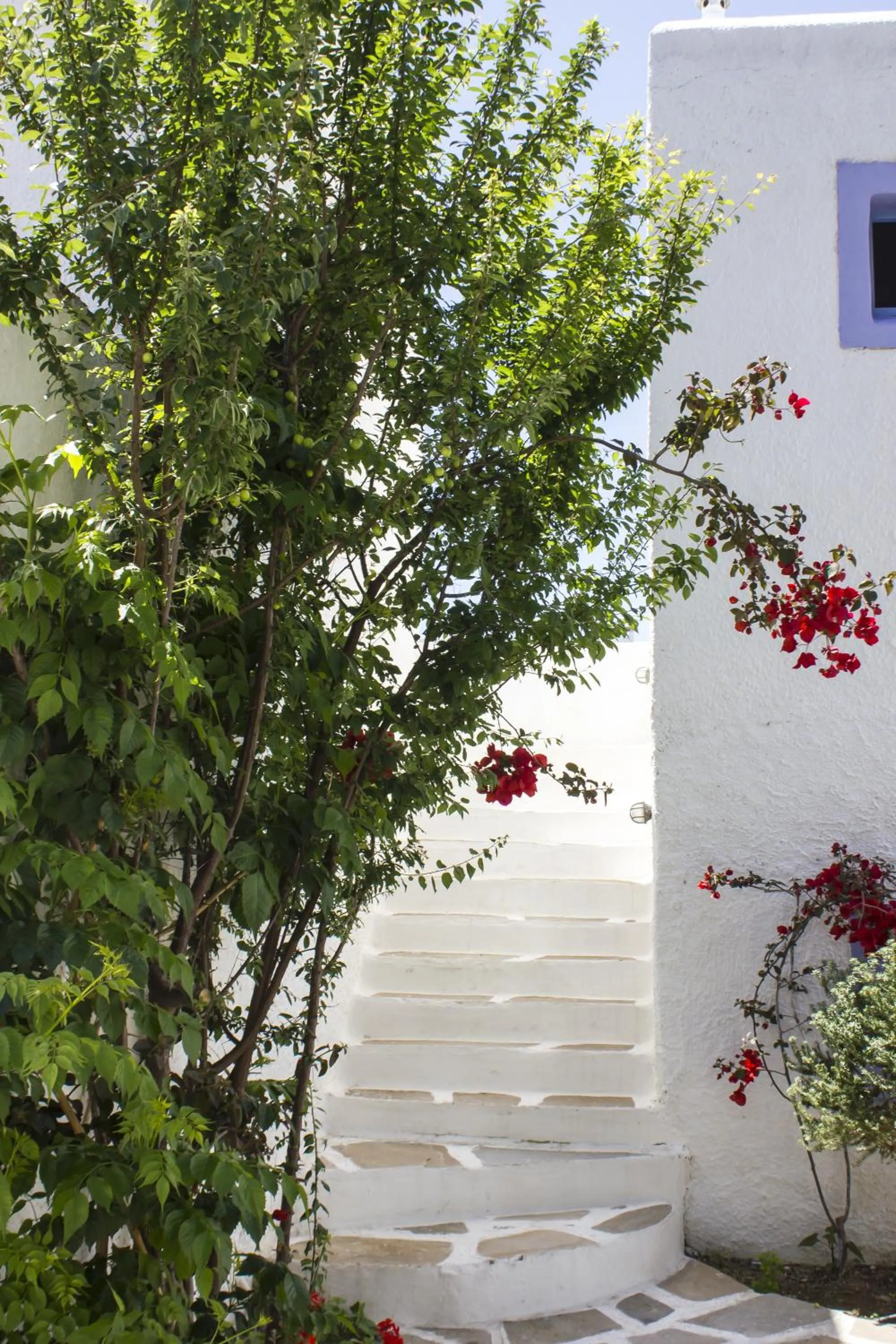 Day in Naxos Holidays