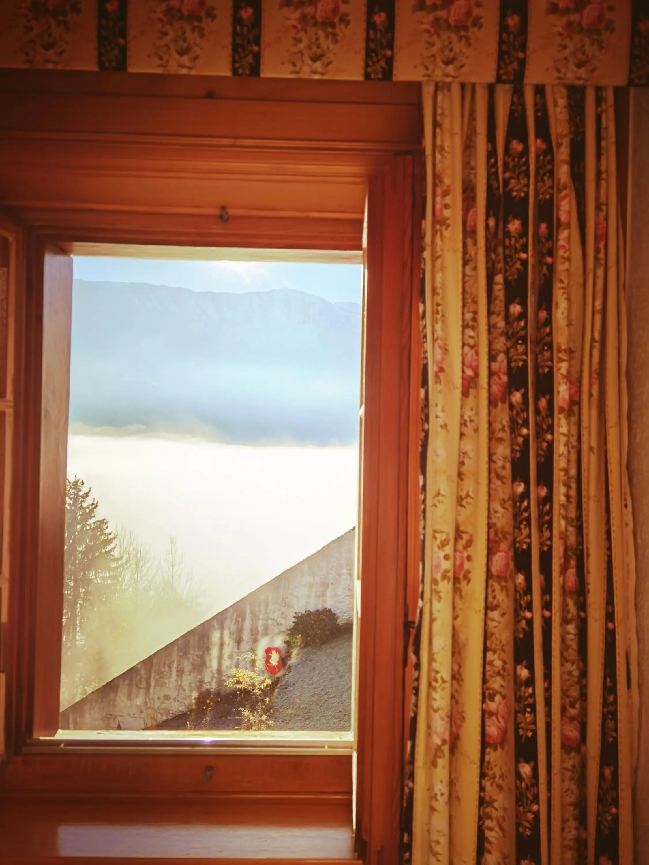 Garden view in La Fleur de Lys
