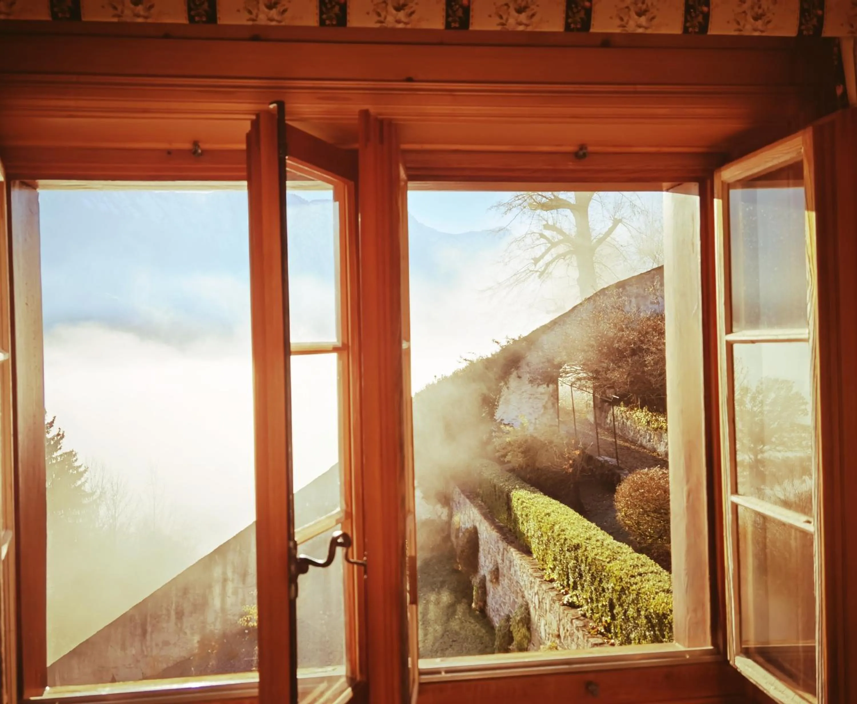 Garden view in La Fleur de Lys