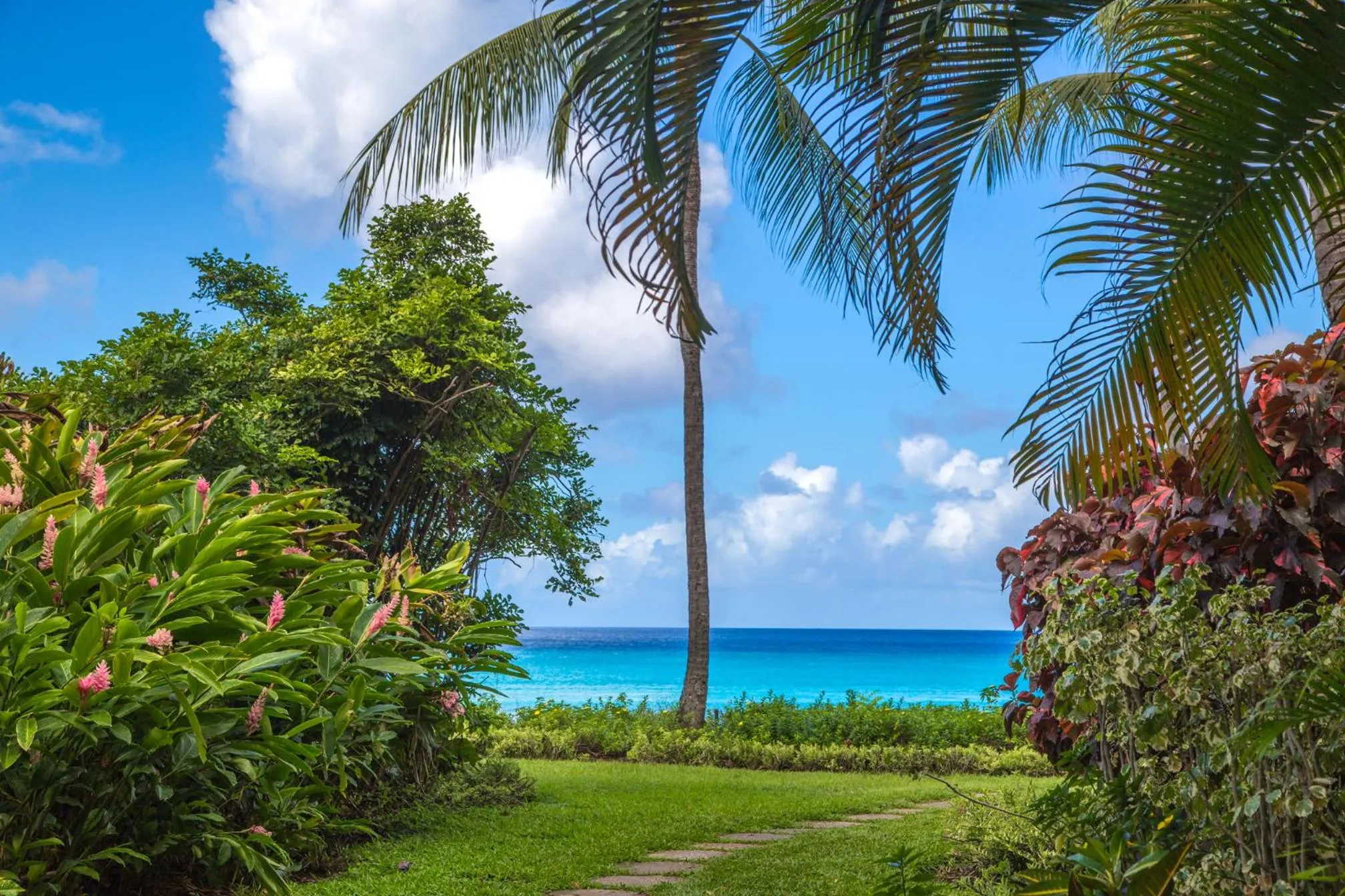 Natural landscape in Fairmont Royal Pavilion Barbados Resort
