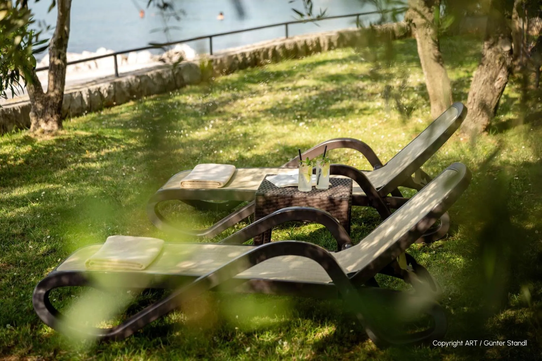 Garden in Hotel Vila Rova