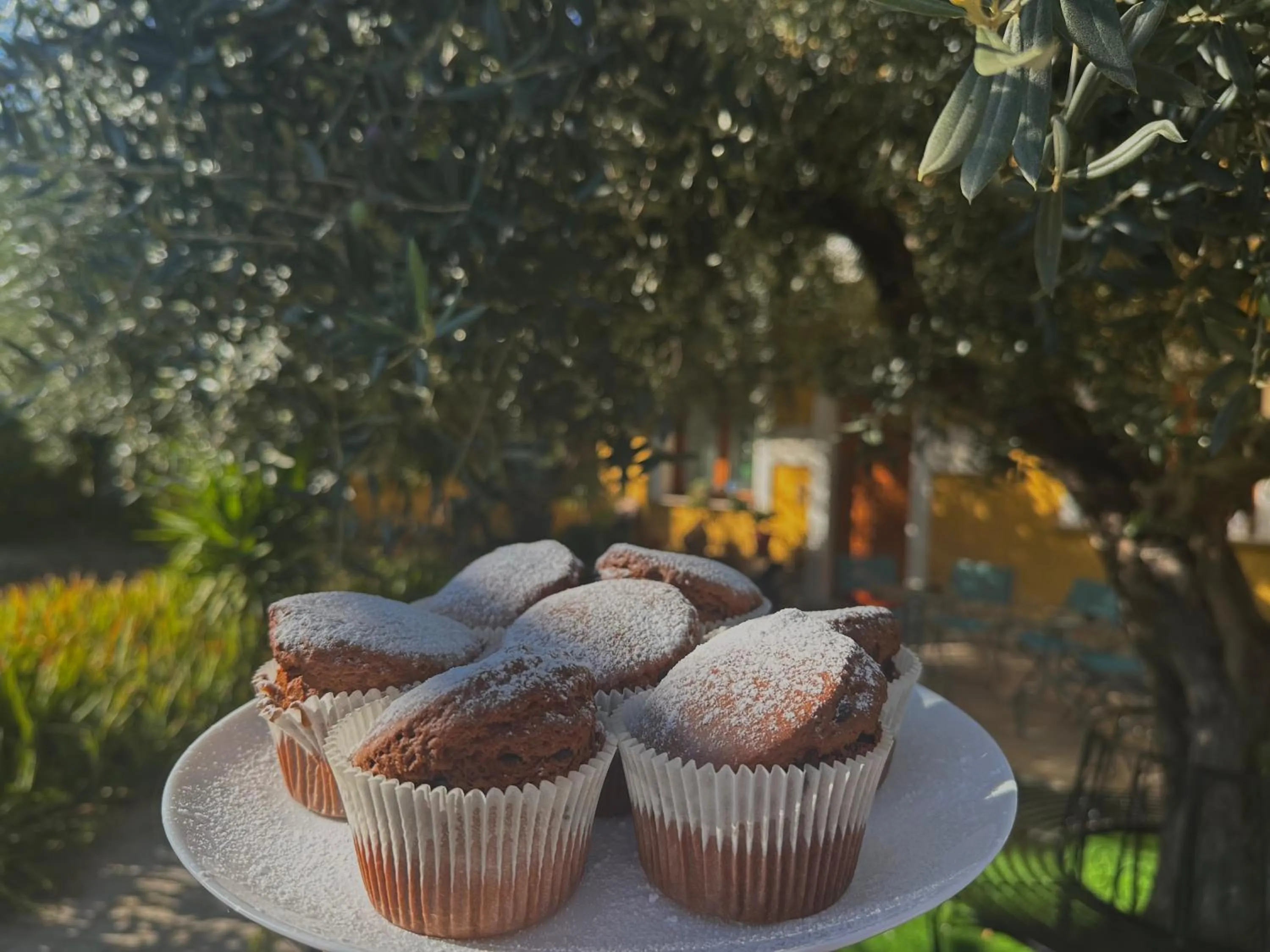 Breakfast in B&B Mariposa