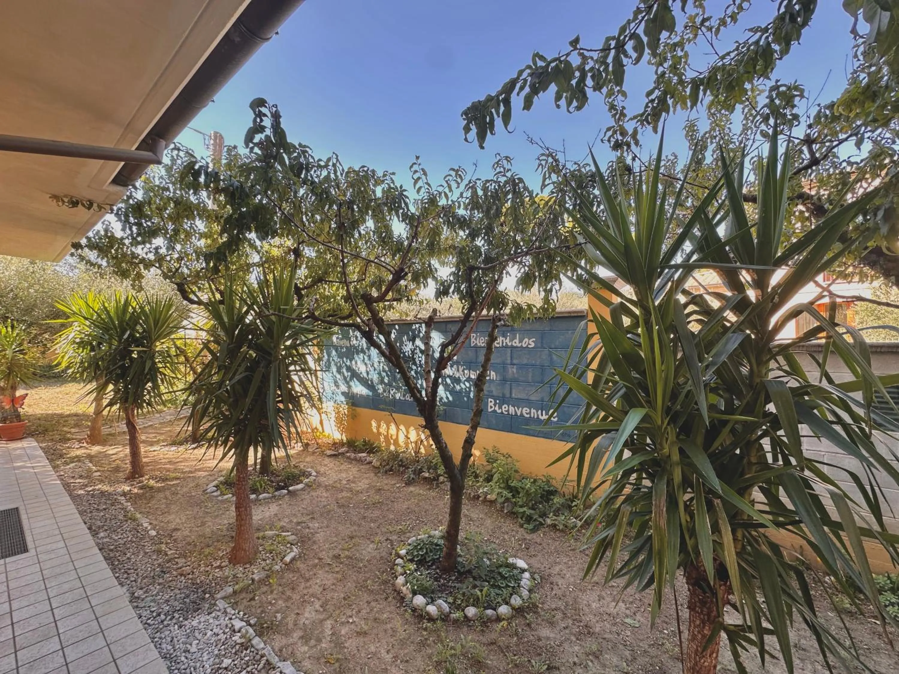 Garden in B&B Mariposa