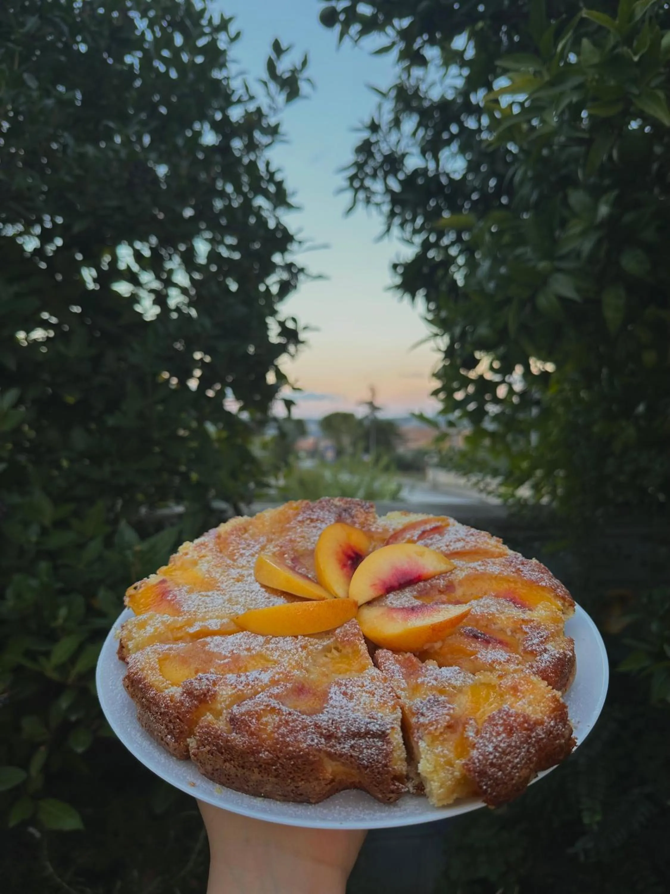 Breakfast in B&B Mariposa