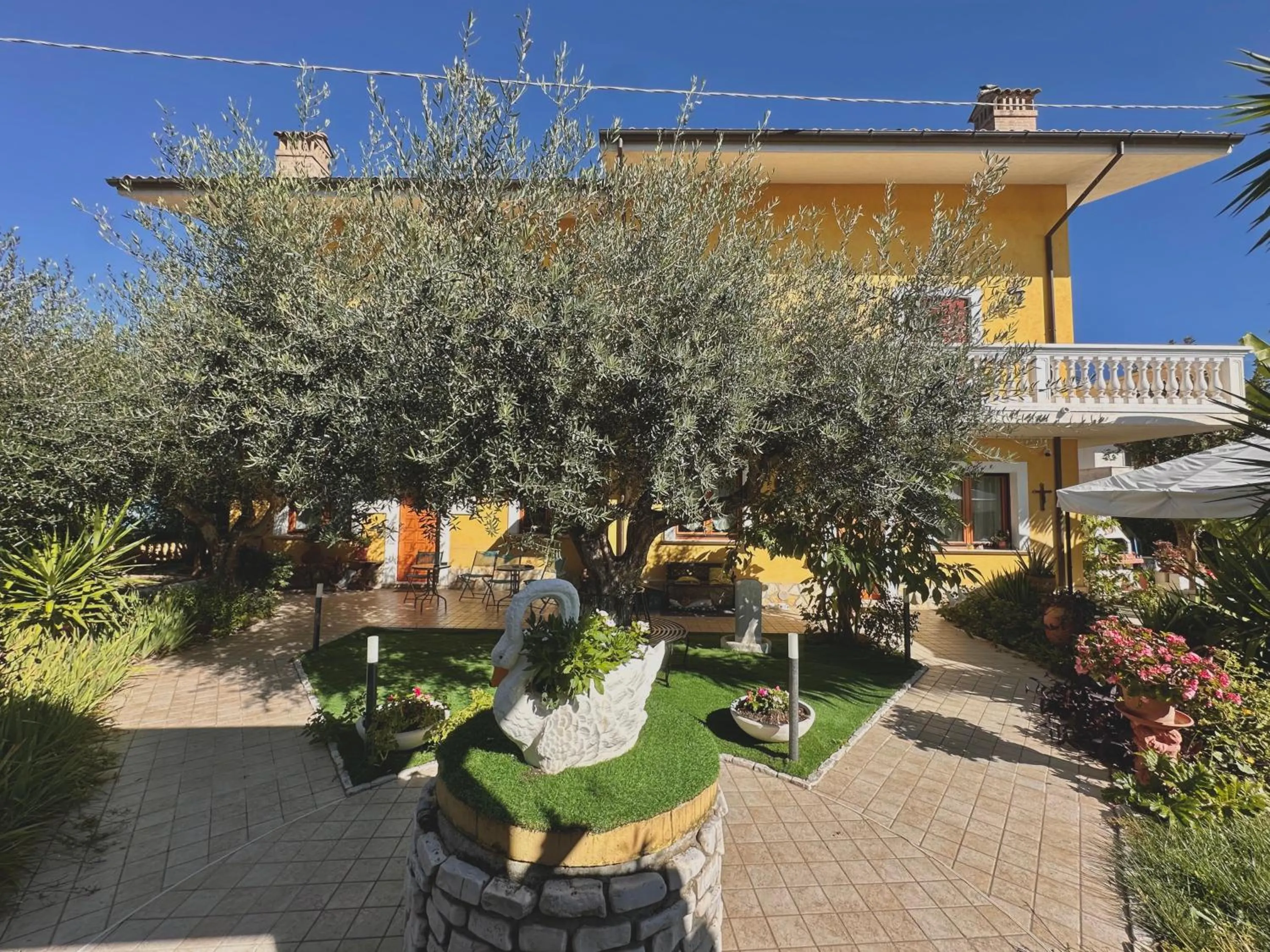 Garden in B&B Mariposa