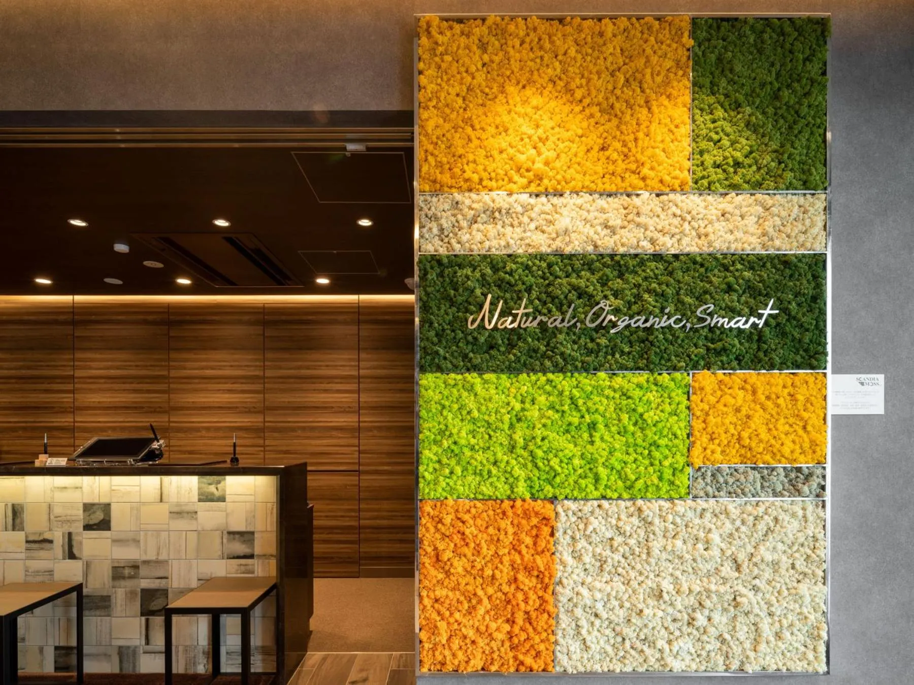 Lobby or reception in Super Hotel Premier Obihiro Ekimae