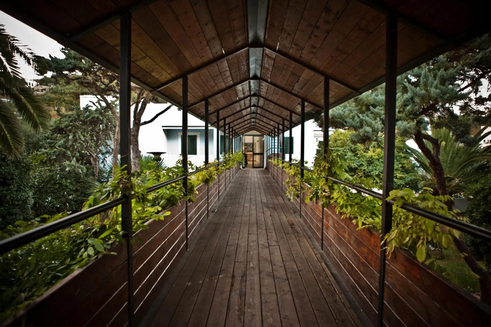 Garden in Grand Hotel Santa Domitilla