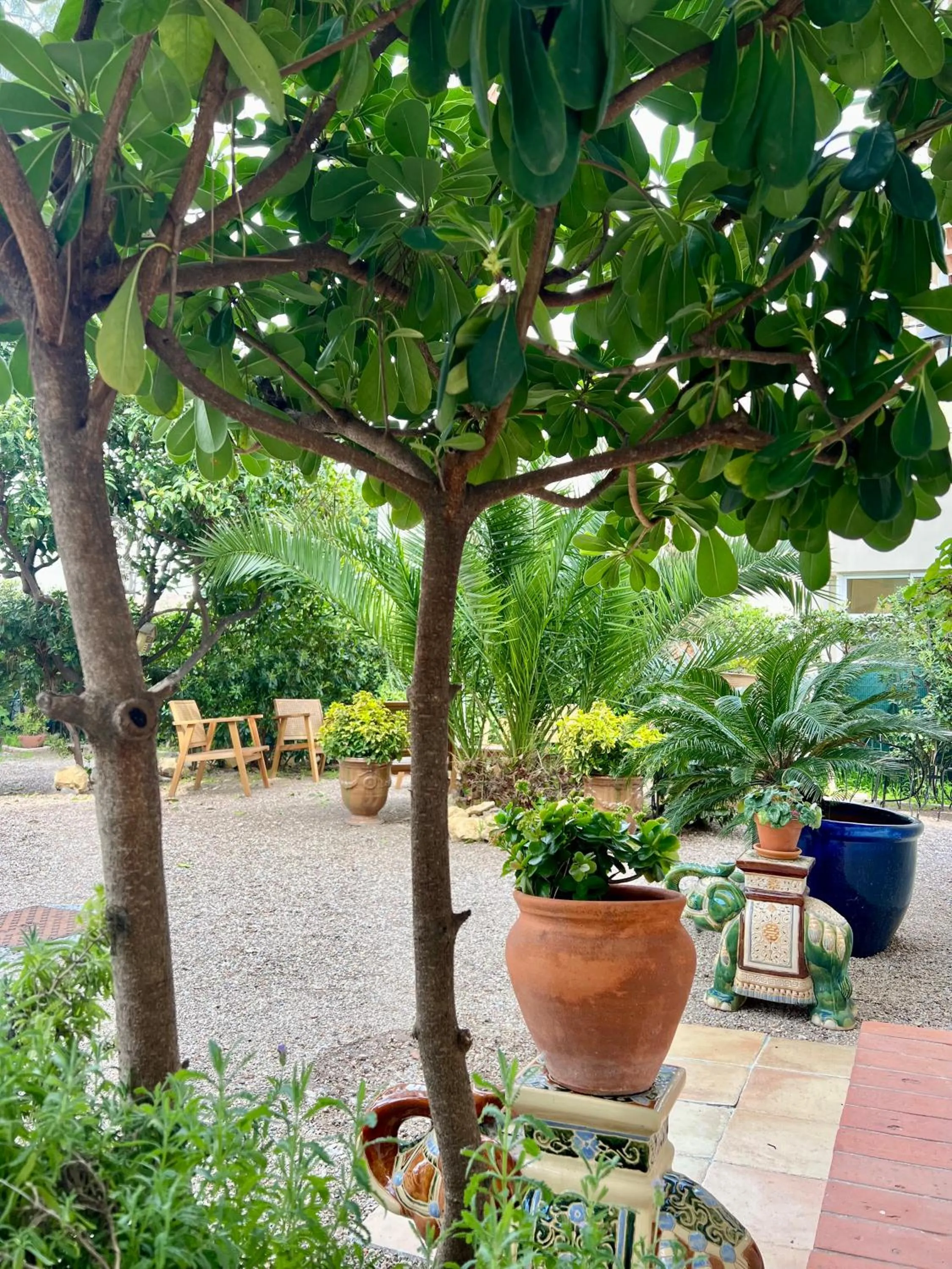 Garden in Hotel Le Ponteil