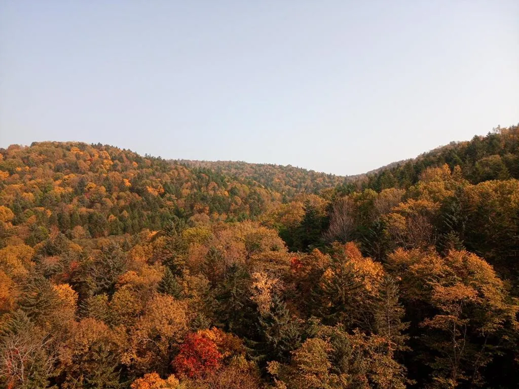 K's House Hokkaido - Asahidake Onsen Hostel