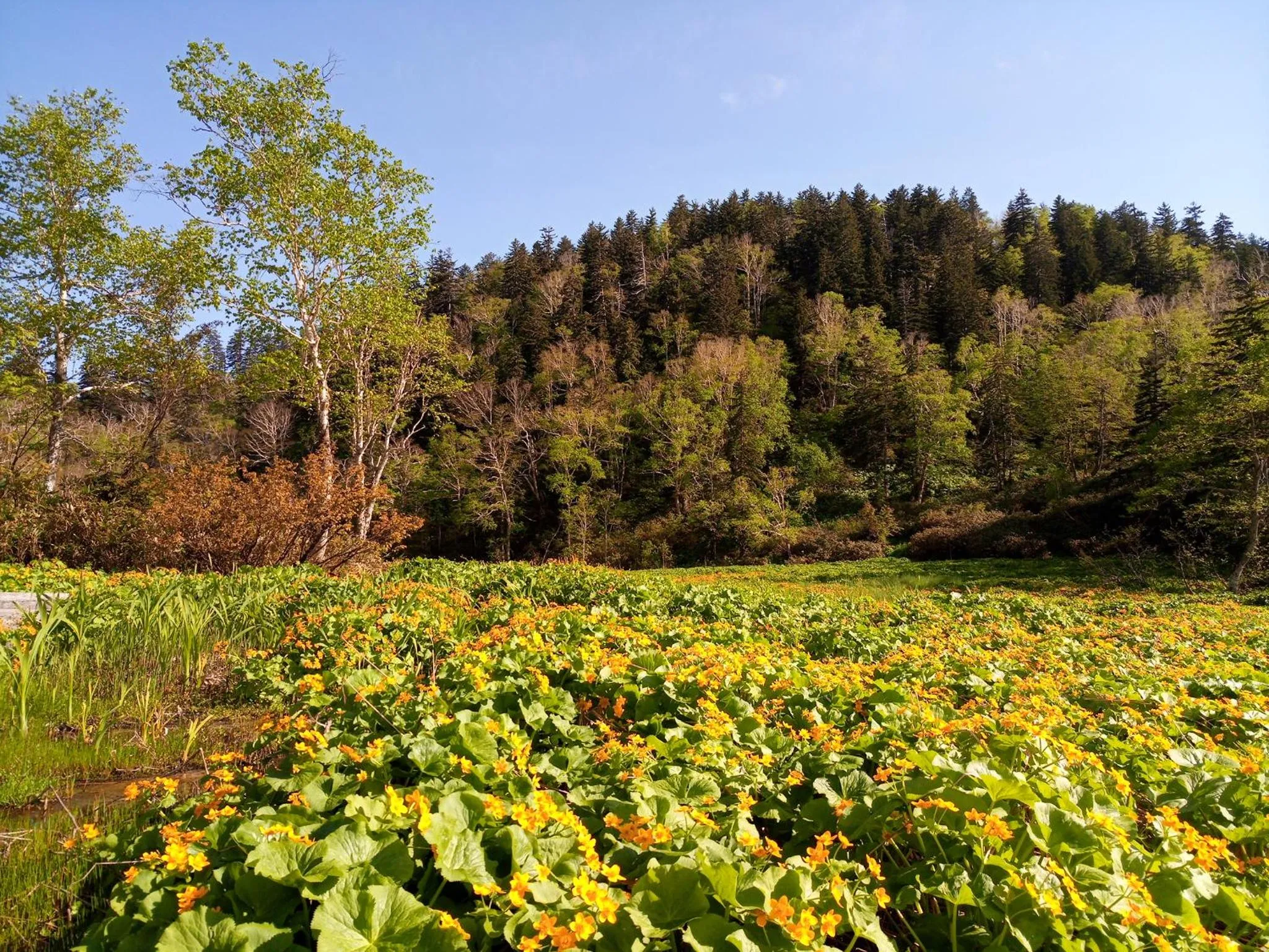 Hiking in K's House Hokkaido - Asahidake Onsen Hostel