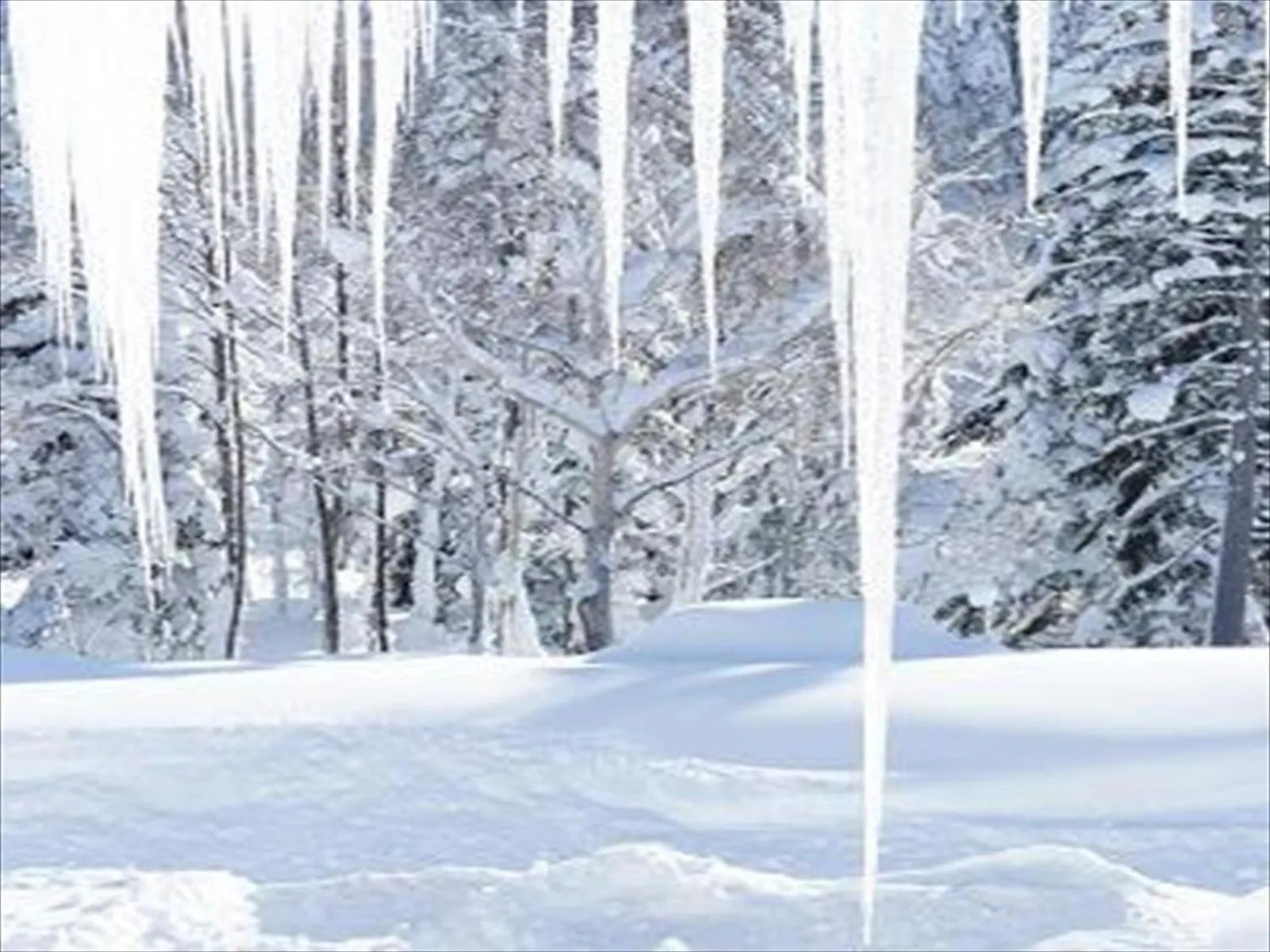 View (from property/room) in K's House Hokkaido - Asahidake Onsen Hostel