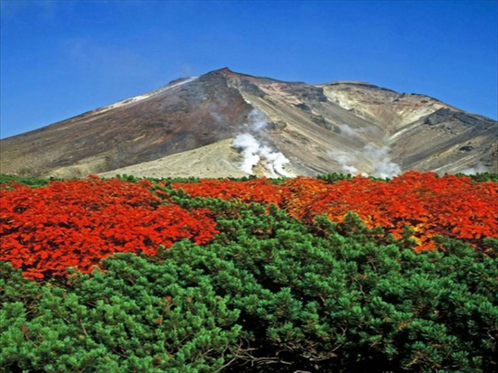 Other in K's House Hokkaido - Asahidake Onsen Hostel
