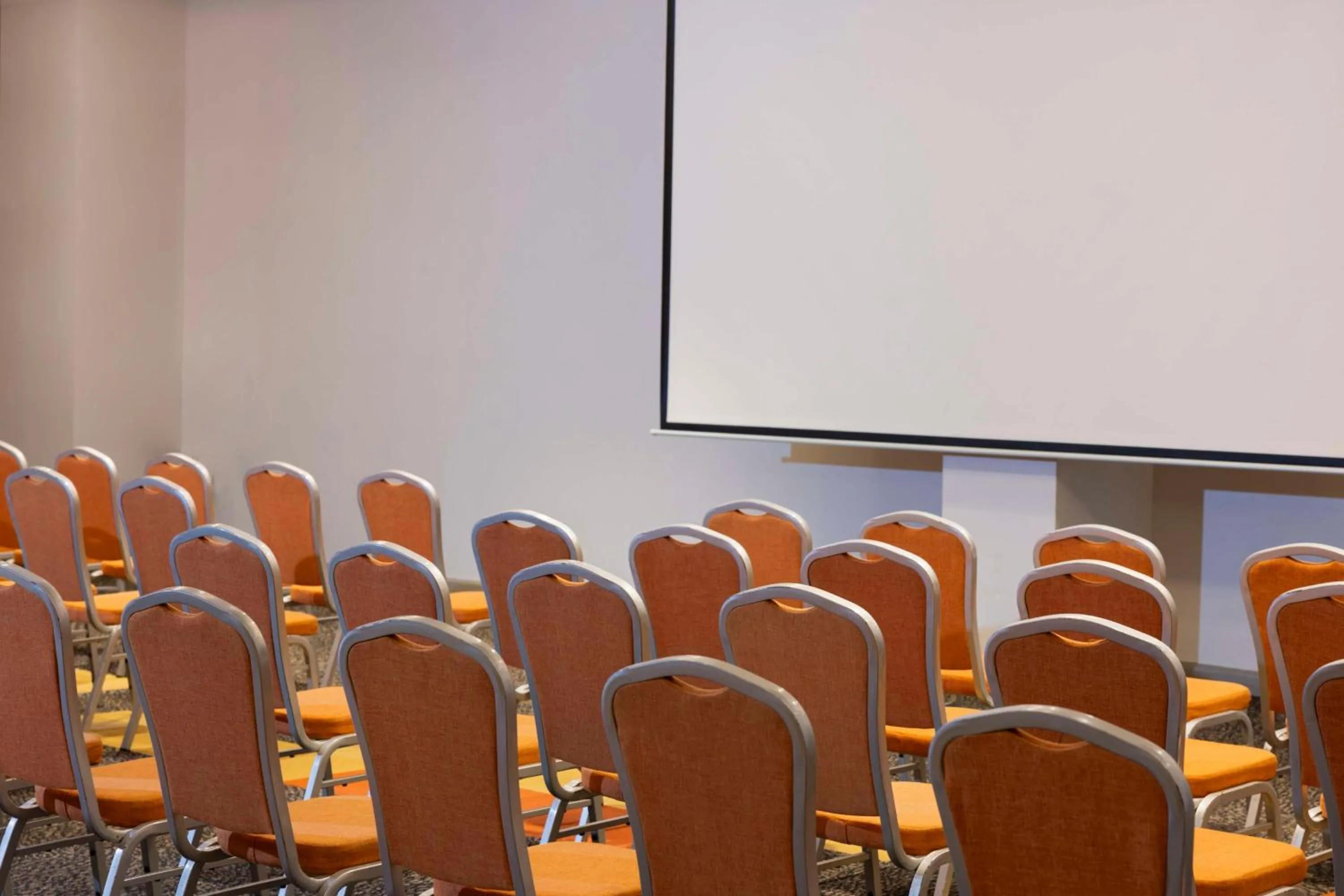 Meeting/conference room in Park Inn By Radisson Iloilo