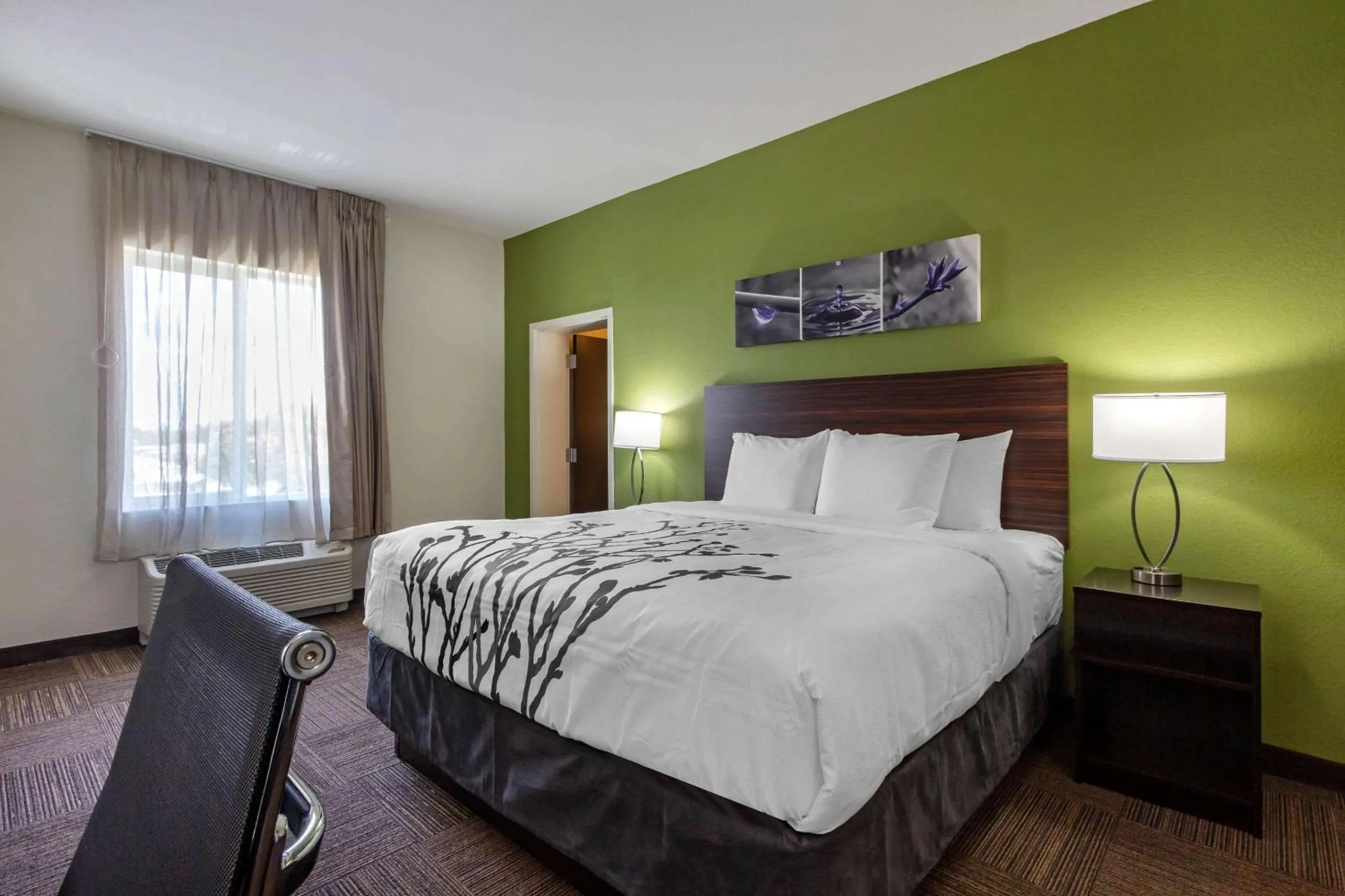 Photo of the whole room, Bed in Sleep Inn & Suites Tampa South