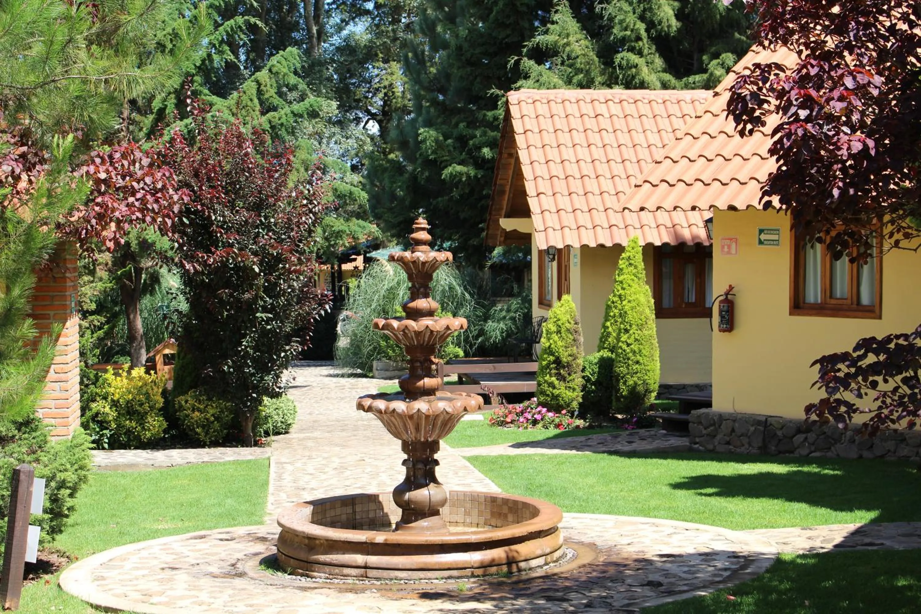 Cabañas Sierra Mazamitla