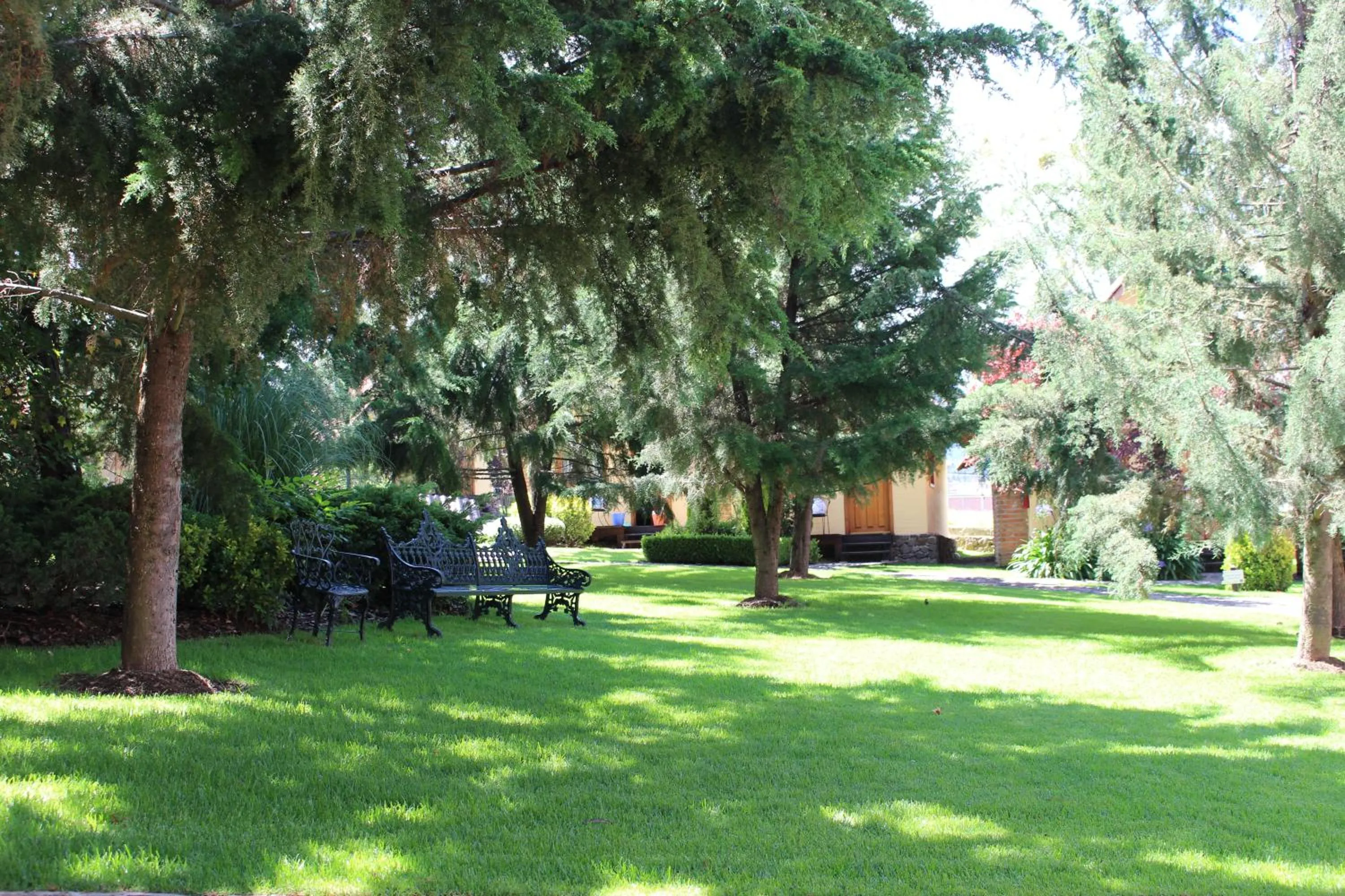 Cabañas Sierra Mazamitla