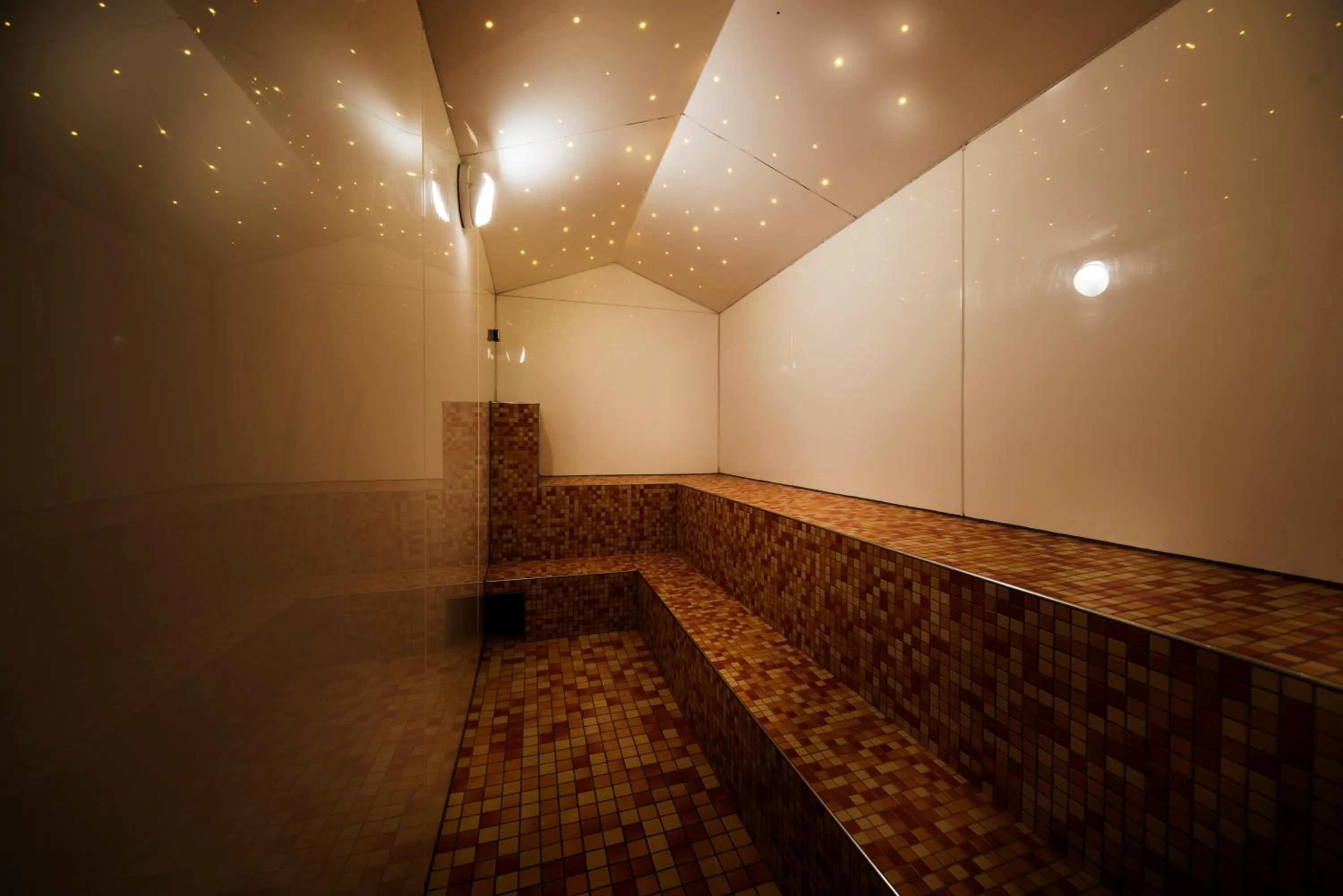 Steam room in Natura Hotel Bodenmais - inkl Soft- und Heißgetränkeflat