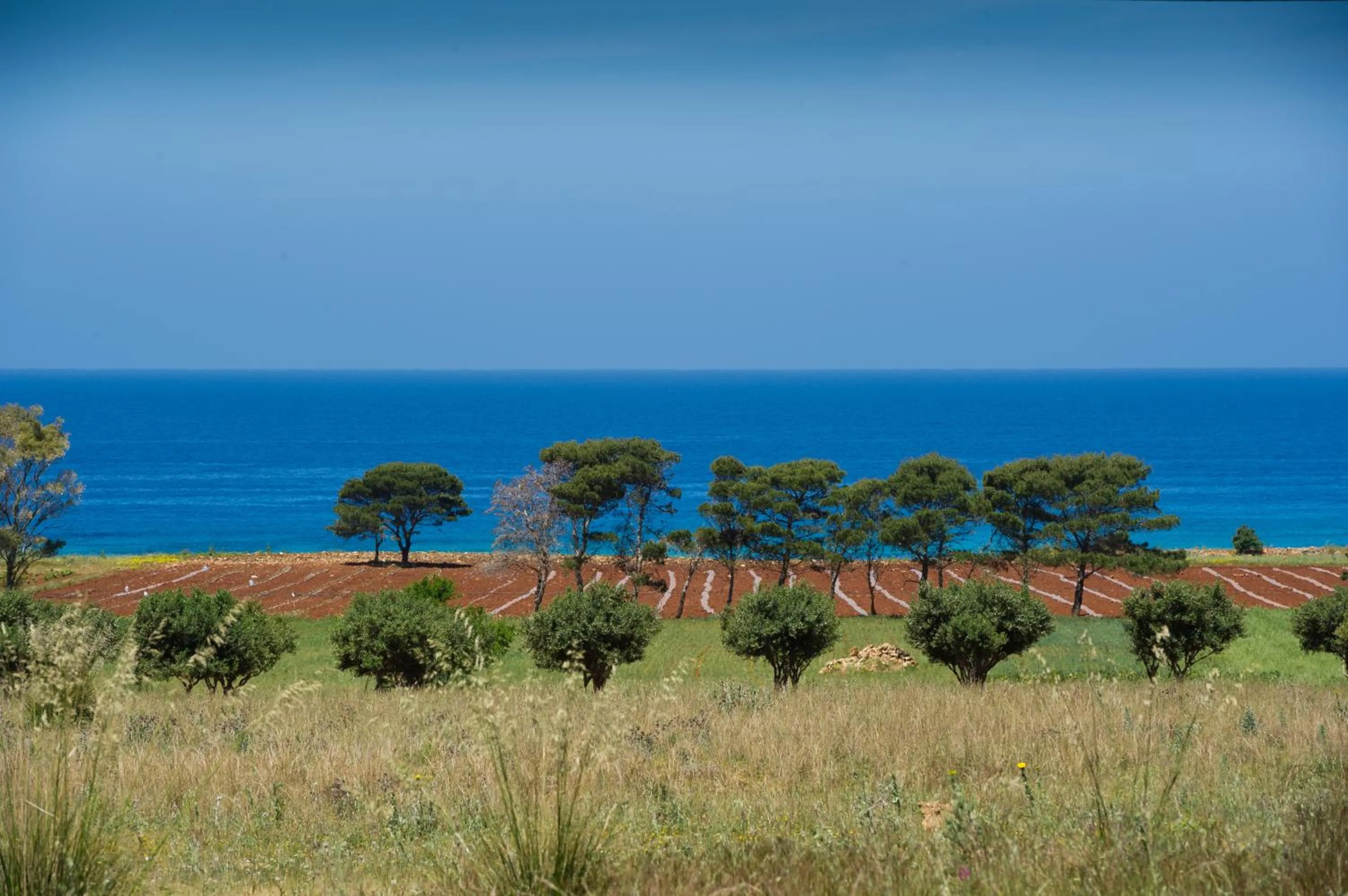 View (from property/room) in Al Cantuccio
