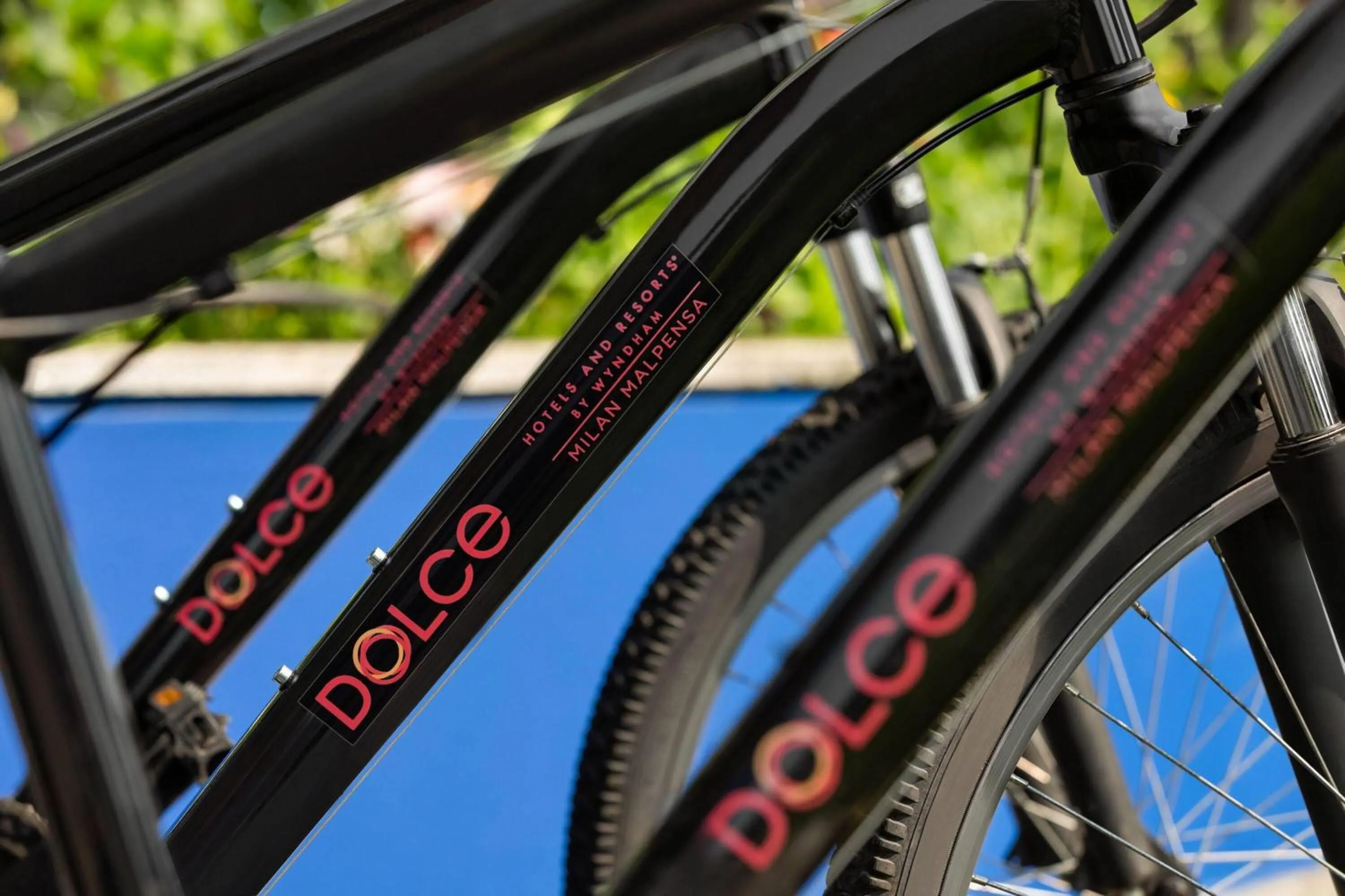 Other in Zeus Essence Dolce by Wyndham Milan Malpensa