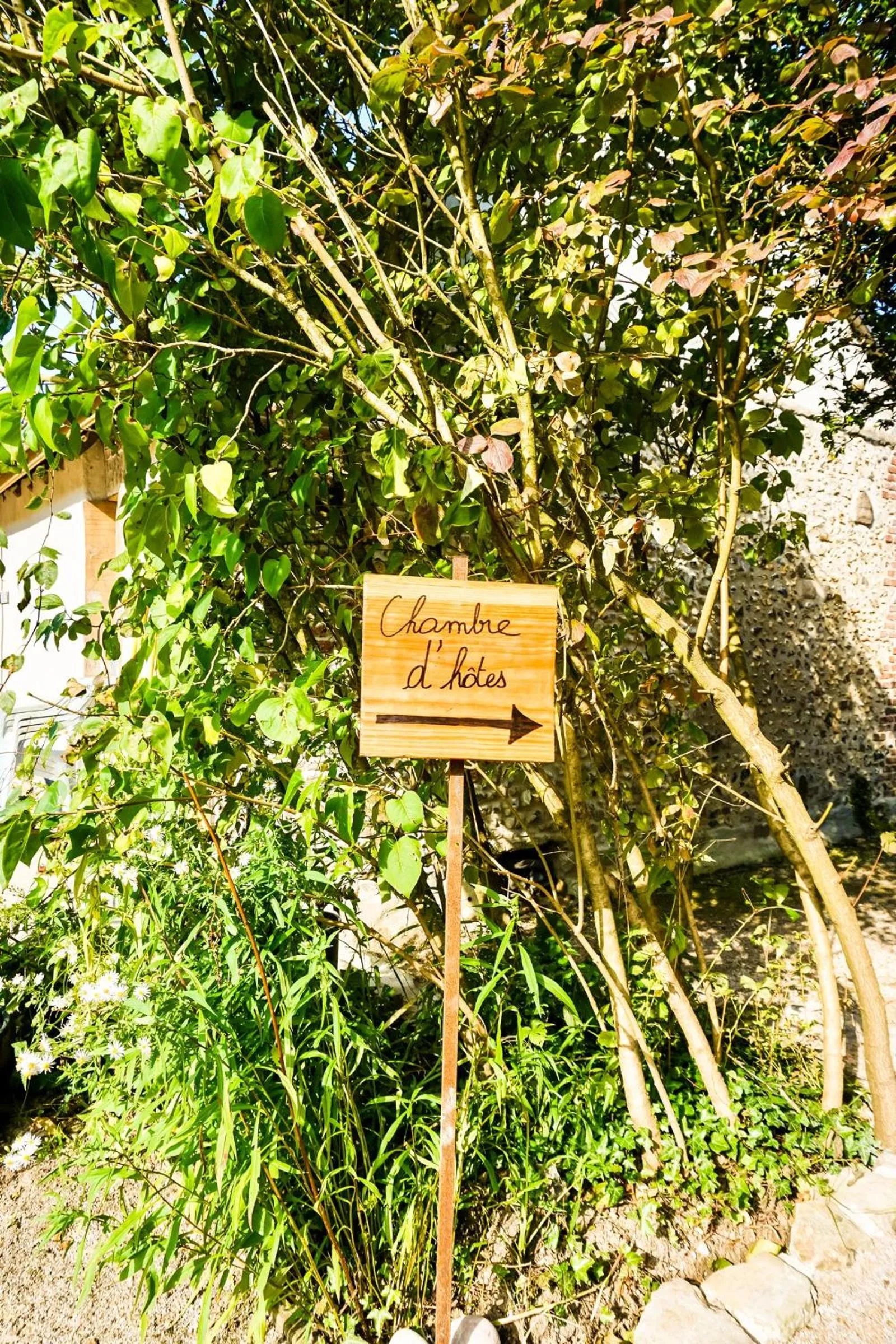 Natural landscape in Les Bobos à la ferme
