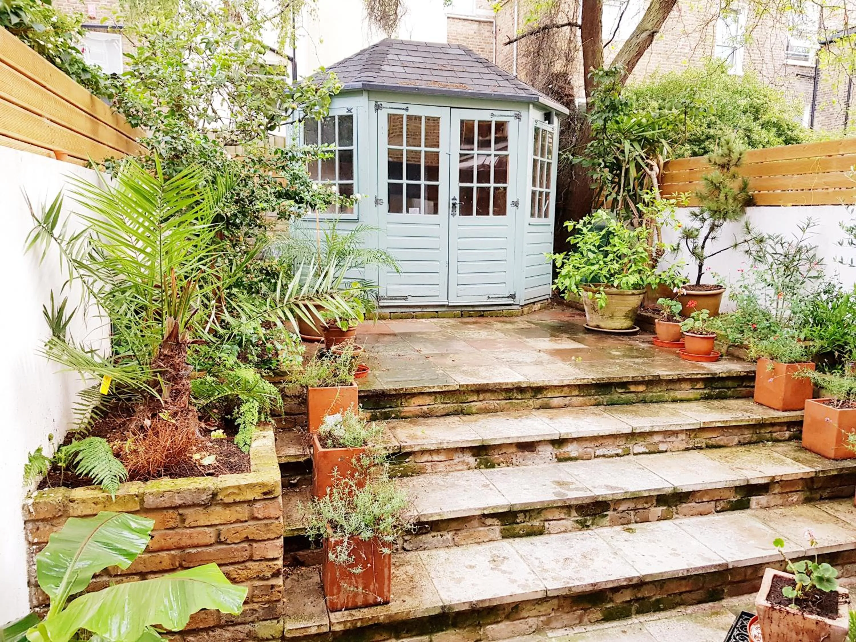 Garden in Pretty Maida Vale Apartments