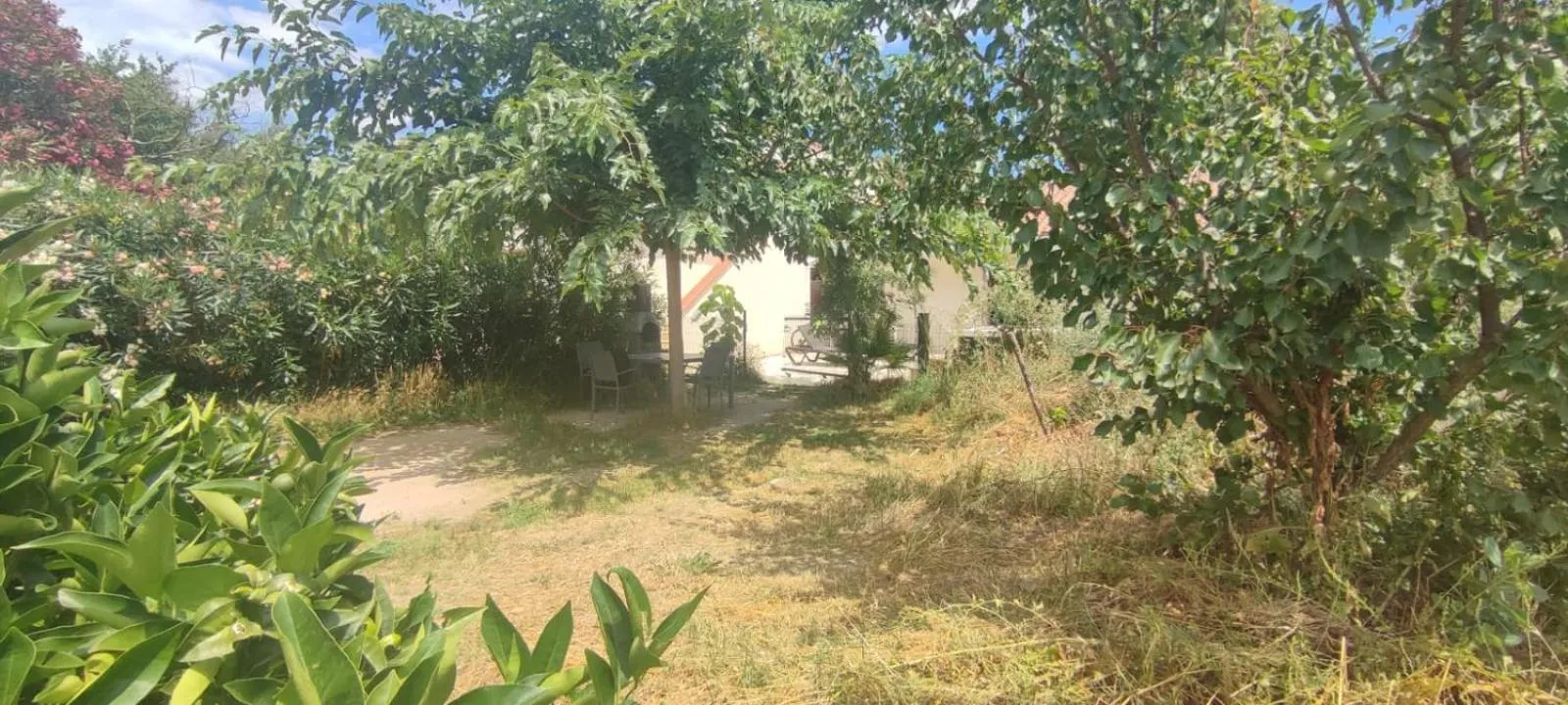 Garden in Mas Picton