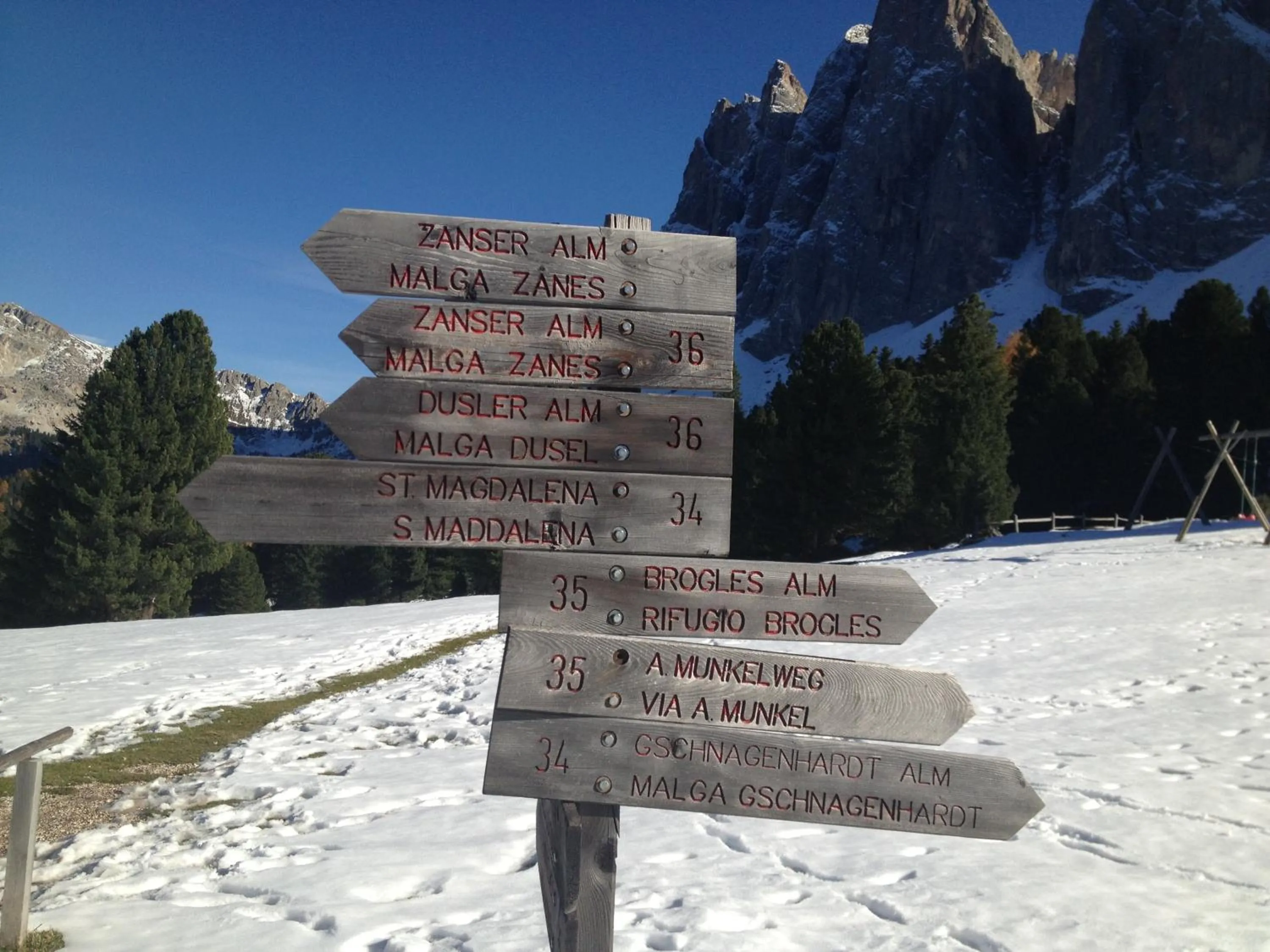 Area and facilities in Panorama Residence Schlossblick