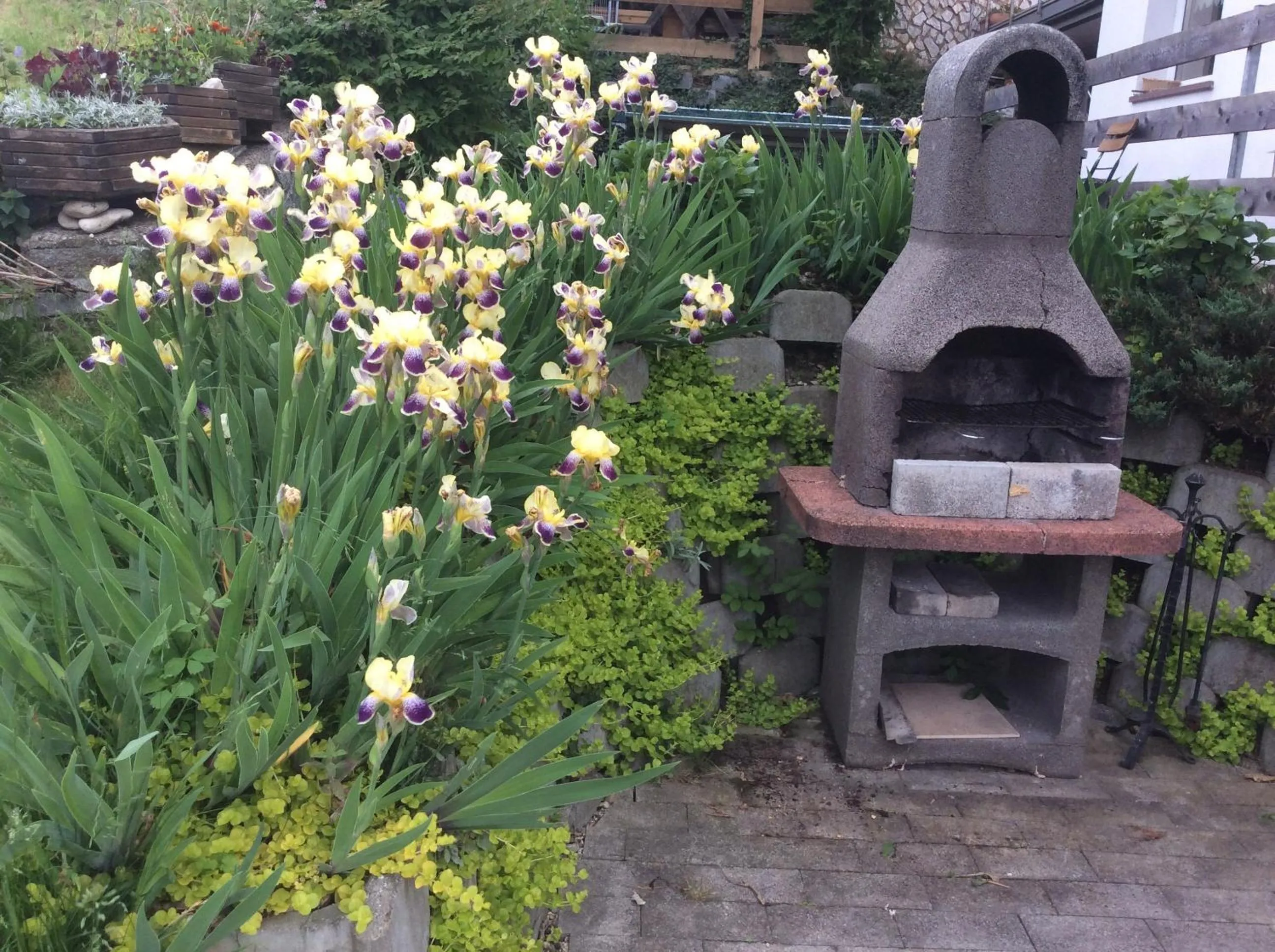 BBQ facilities in Panorama Residence Schlossblick