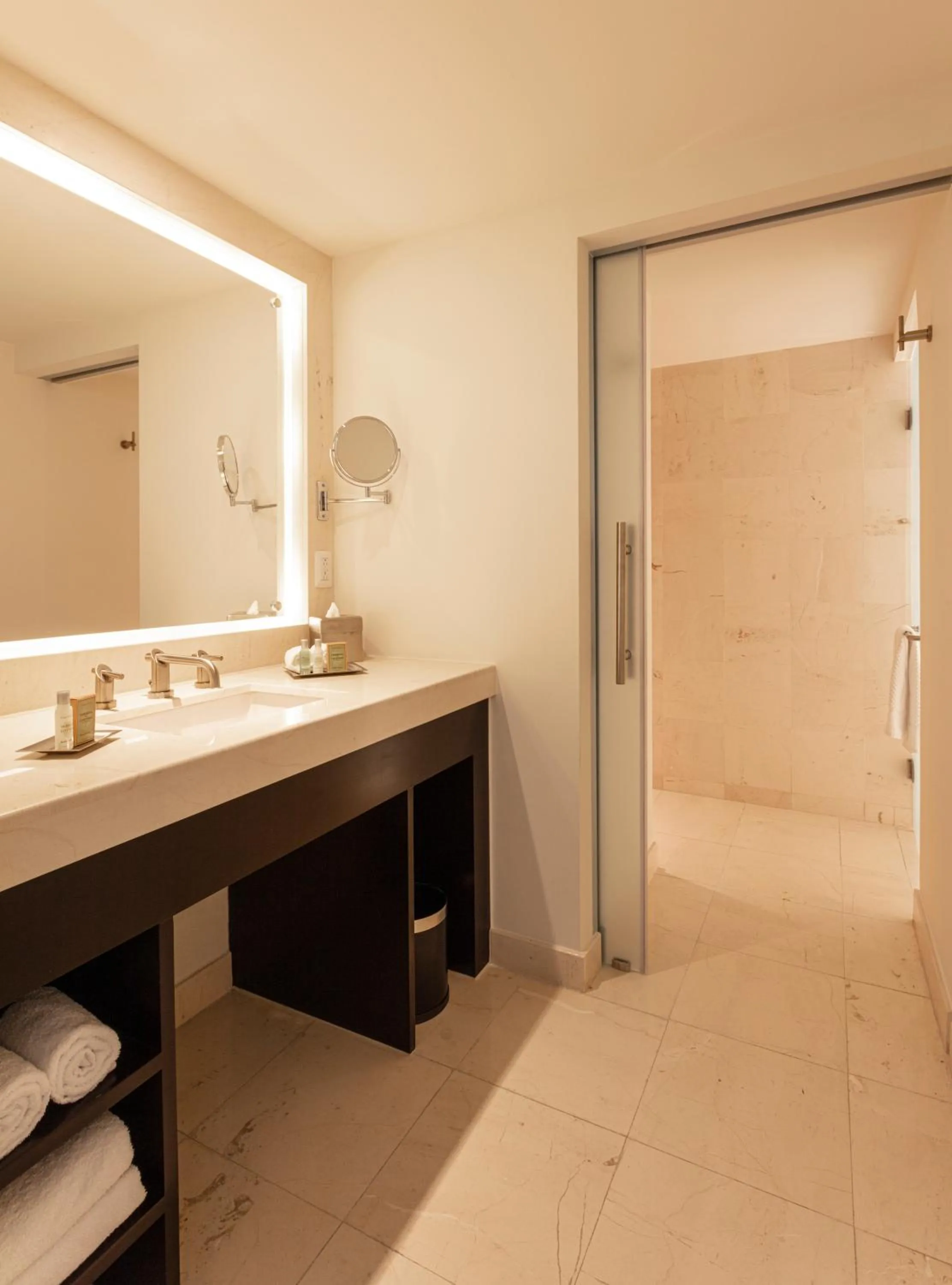 Bathroom in Doubletree By Hilton Toluca