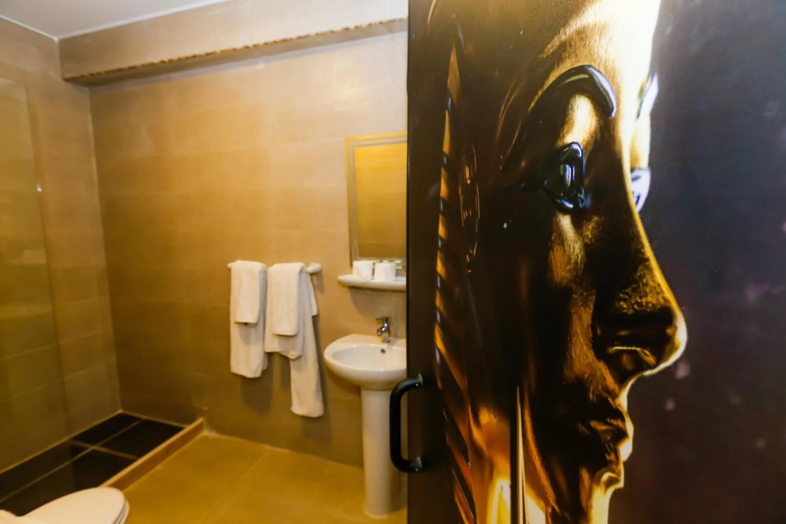 Shower in Giza Pyramids View Inn